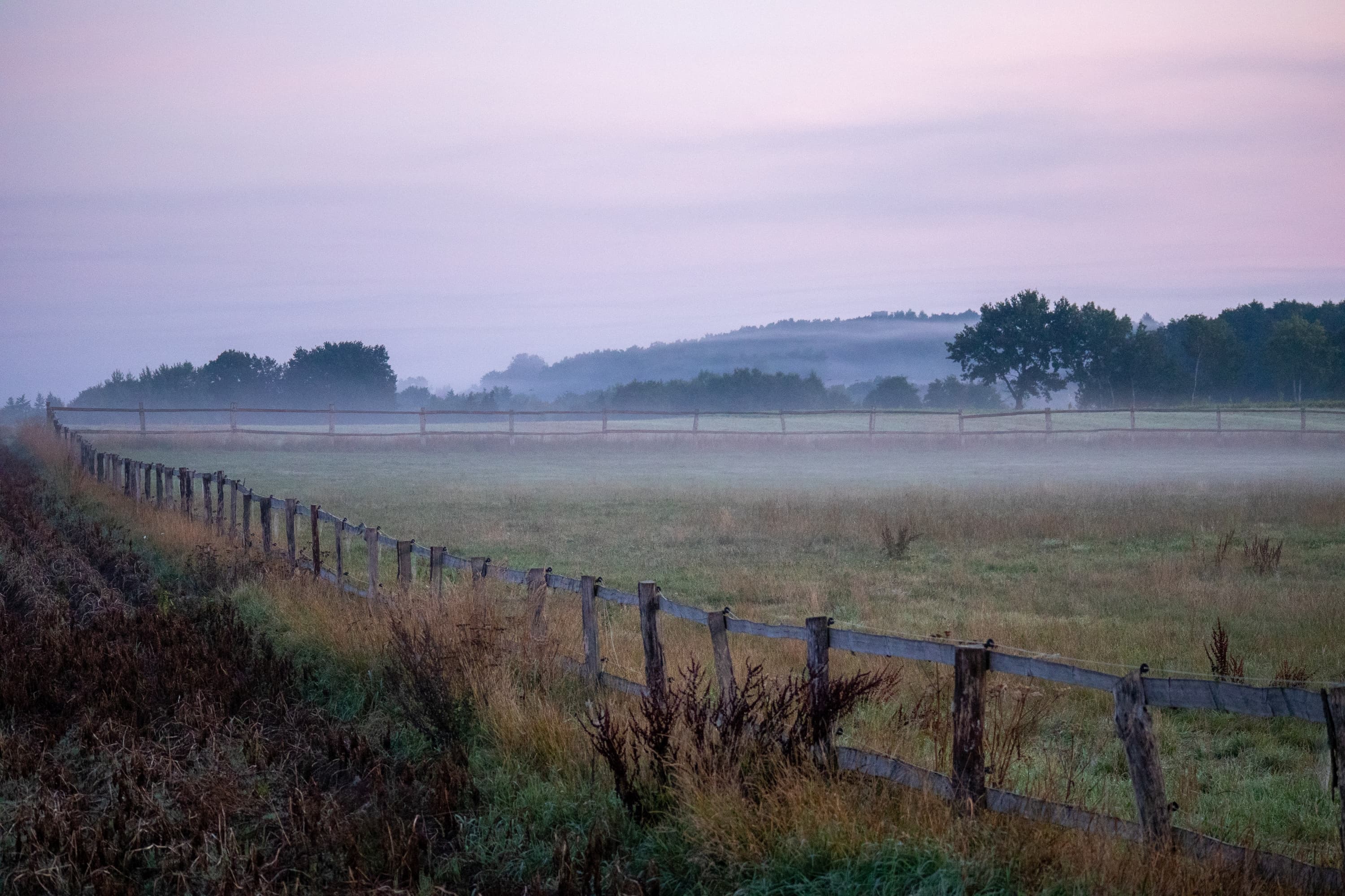 Feldmark bei Salzhausen im Nebel mit Zaun