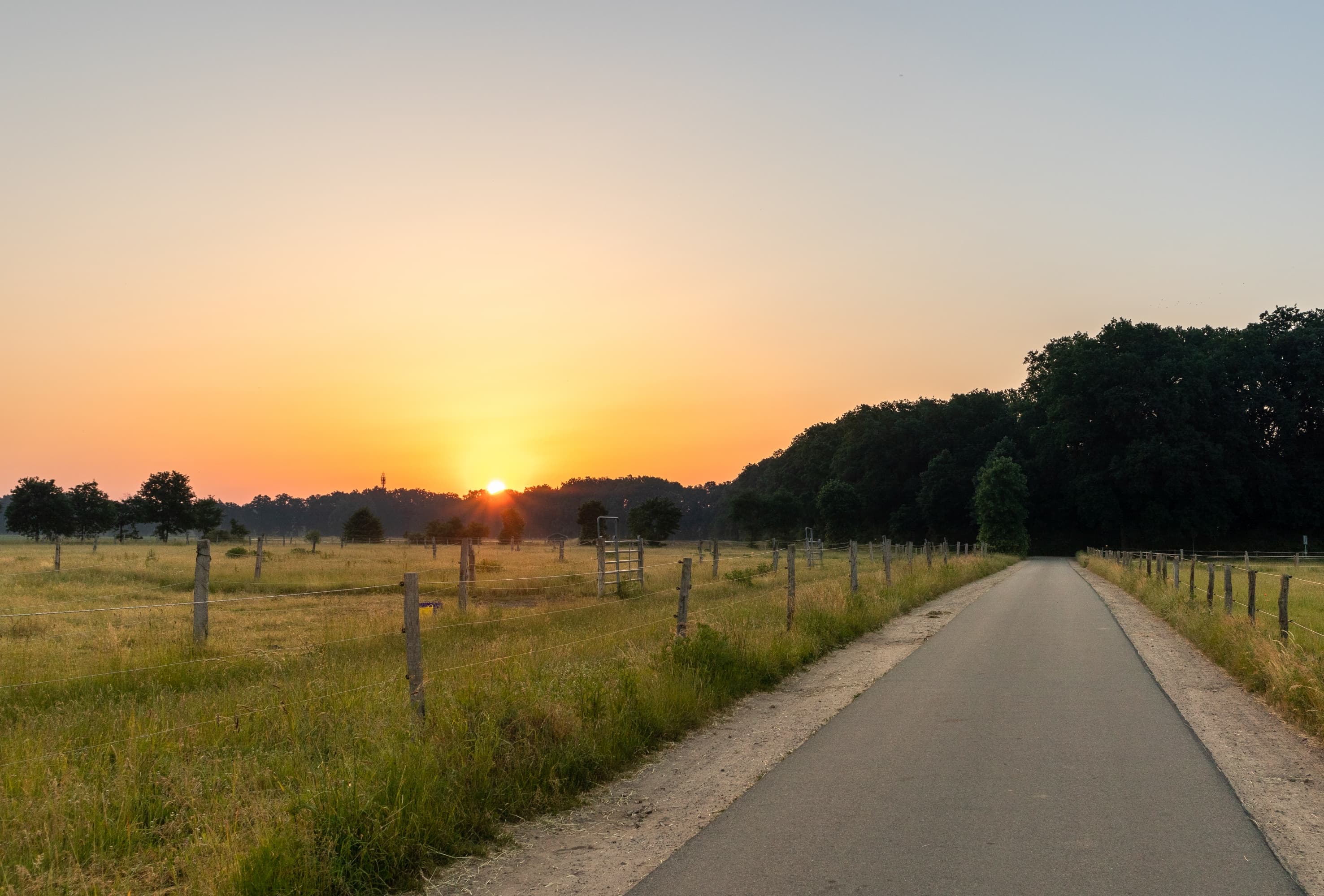 Feldmark bei Salzhausen bei Sonnenaufgang