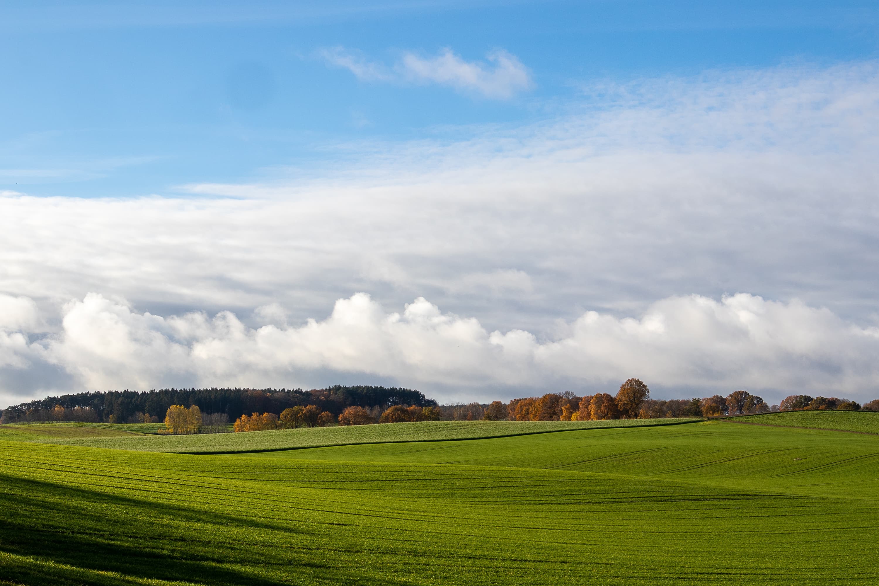 die Landschaft rund um Salzhausen ist abwechslungsreich