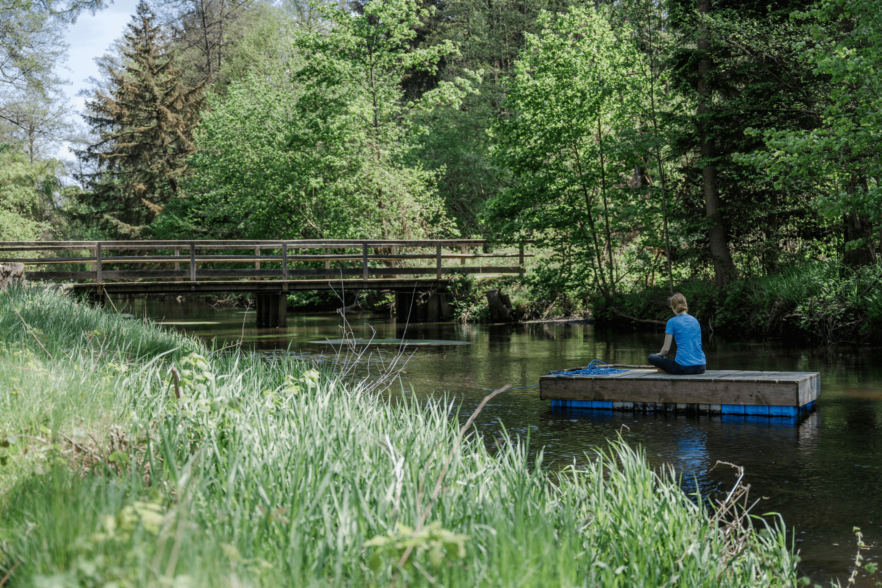 Die Örtze am Winkelhof Müden Örtze