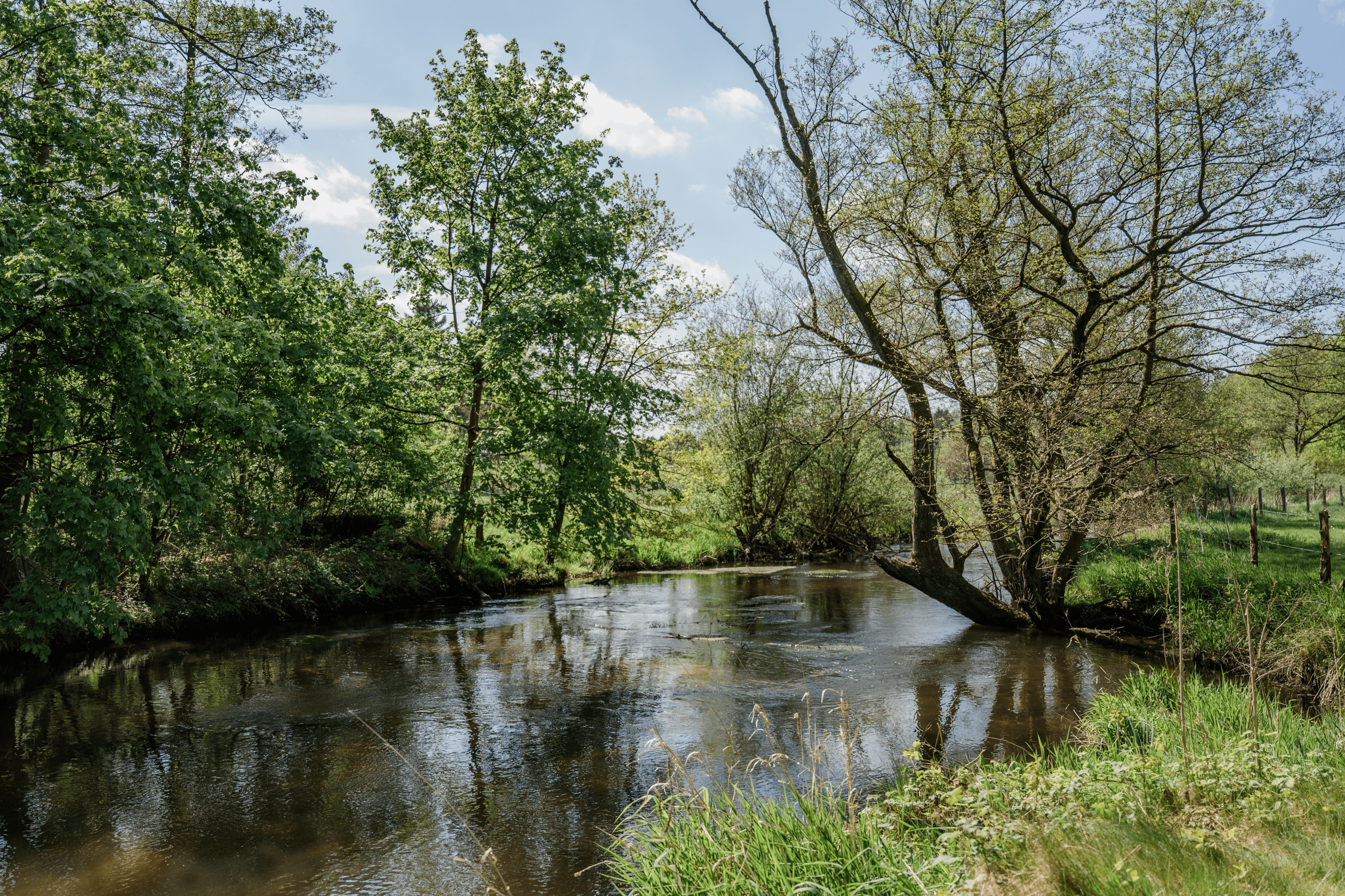 Die Örtze am Winkelhof Müden Örtze