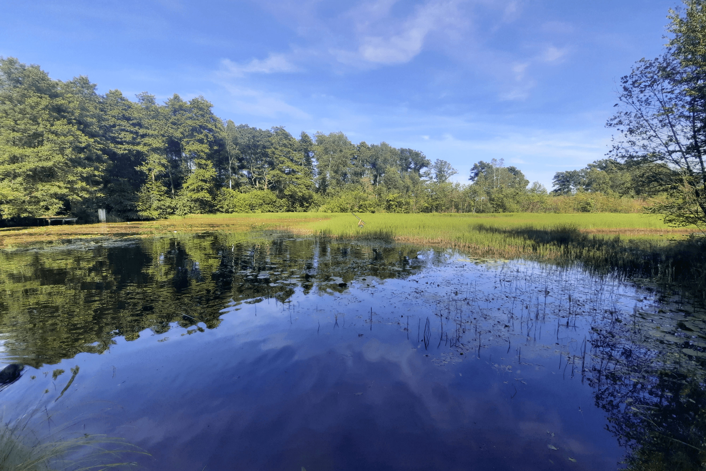 Teich hinter dem Ferienhof Meyer Unterlüß