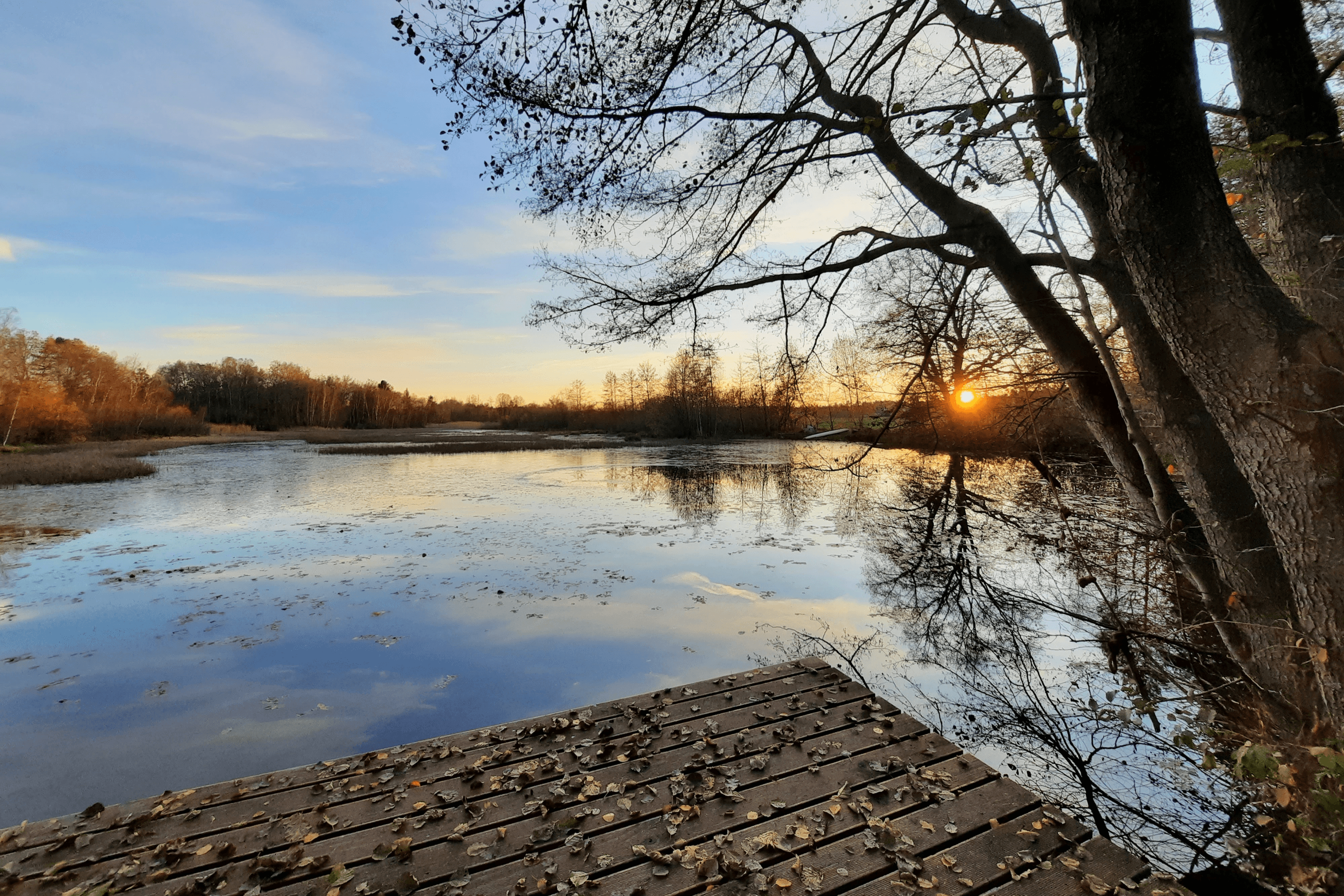 Teich hinter dem Ferienhof Meyer Unterlüß
