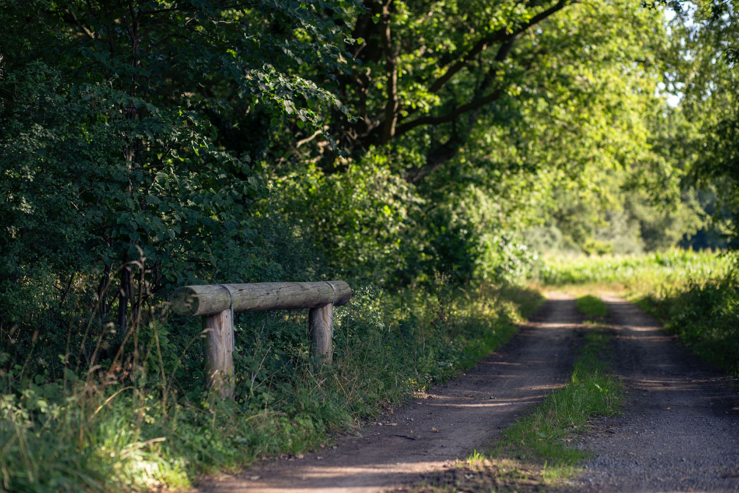 Radfahren auf dem Fernradweg Aller-Radweg