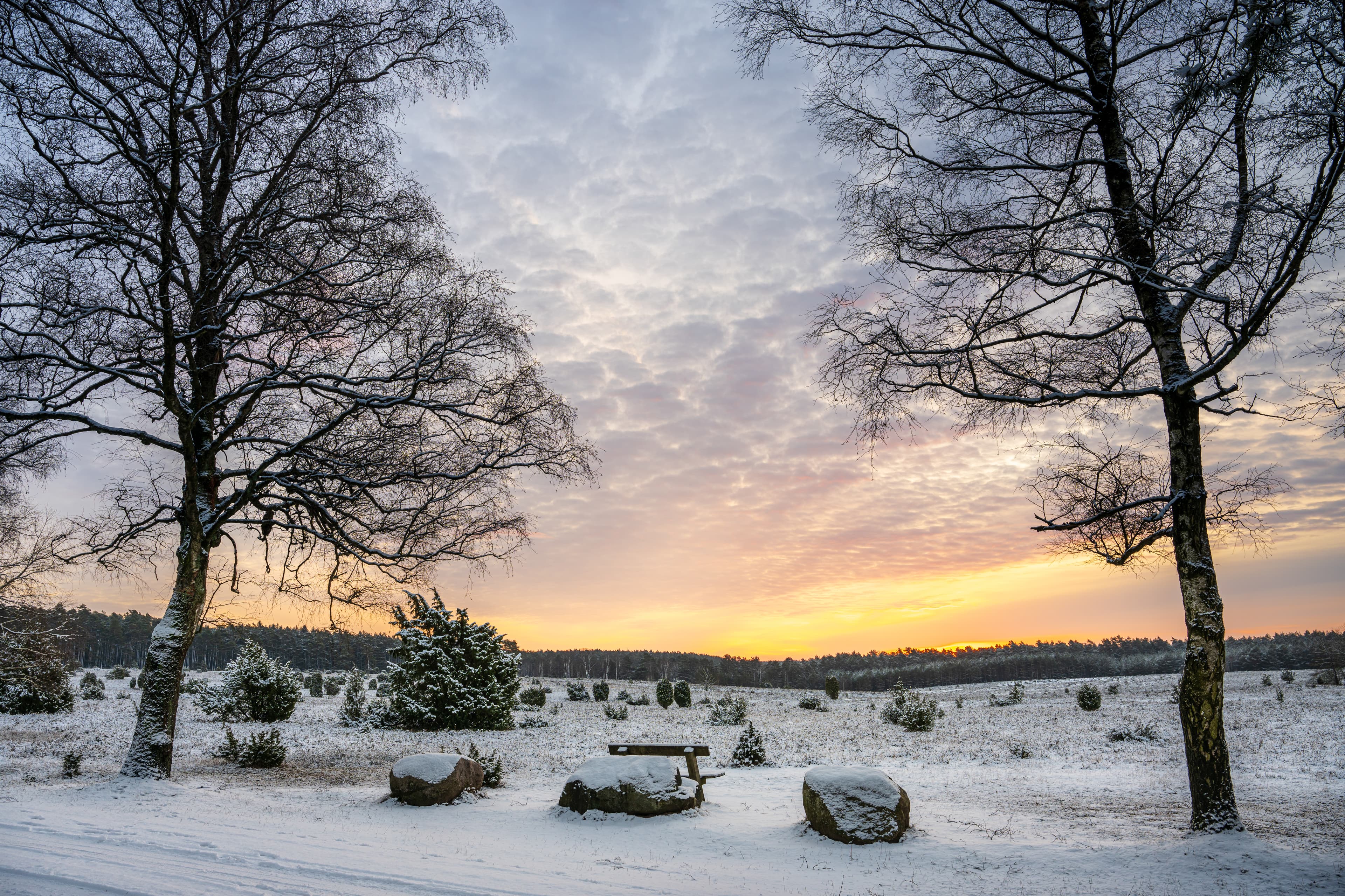 Sonnenaufgang Misselhorner Heide Tiefental Winter Schnee