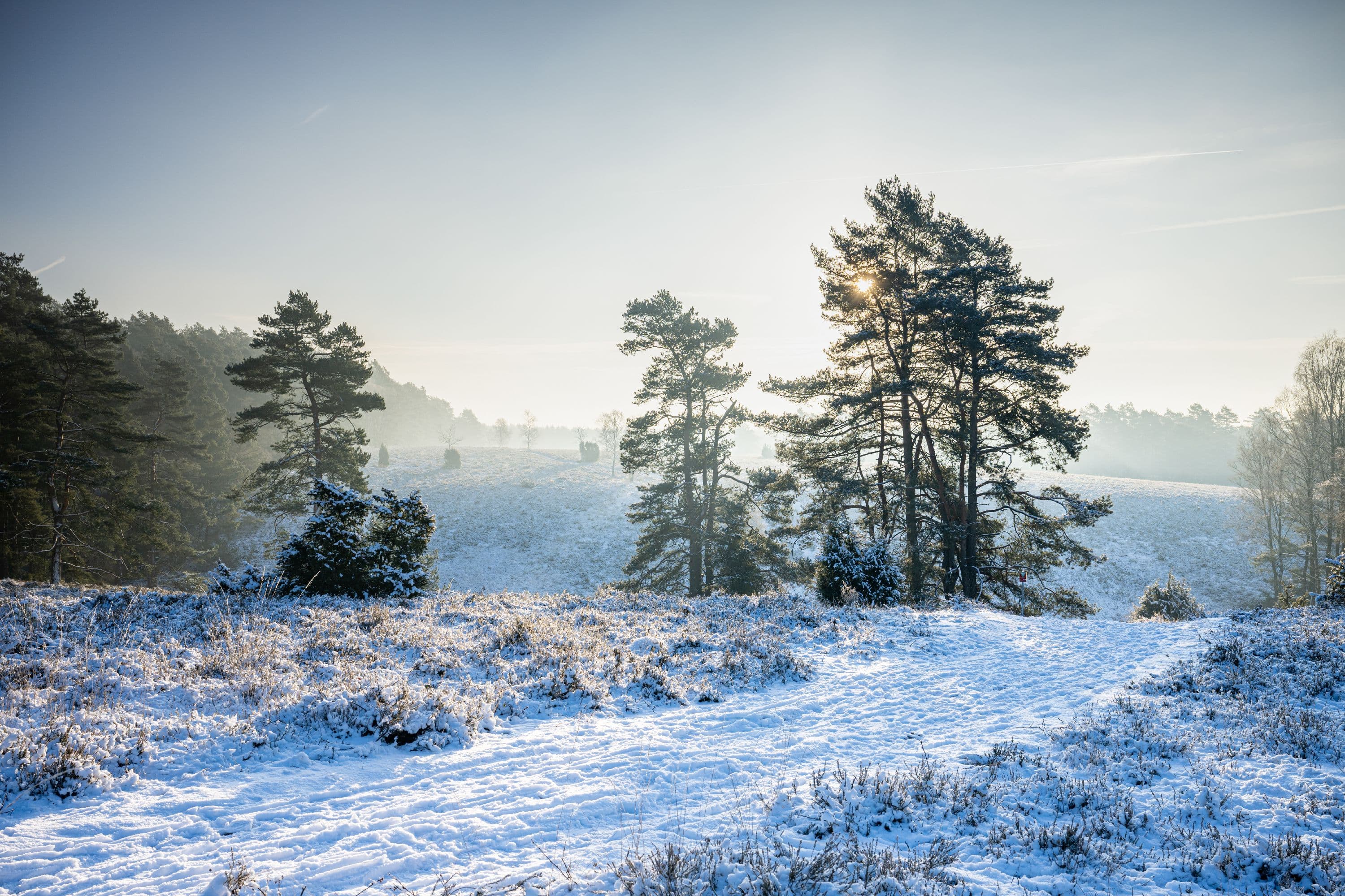Verschneite Heidefläche Tiefental südliche Lüneburger Heide