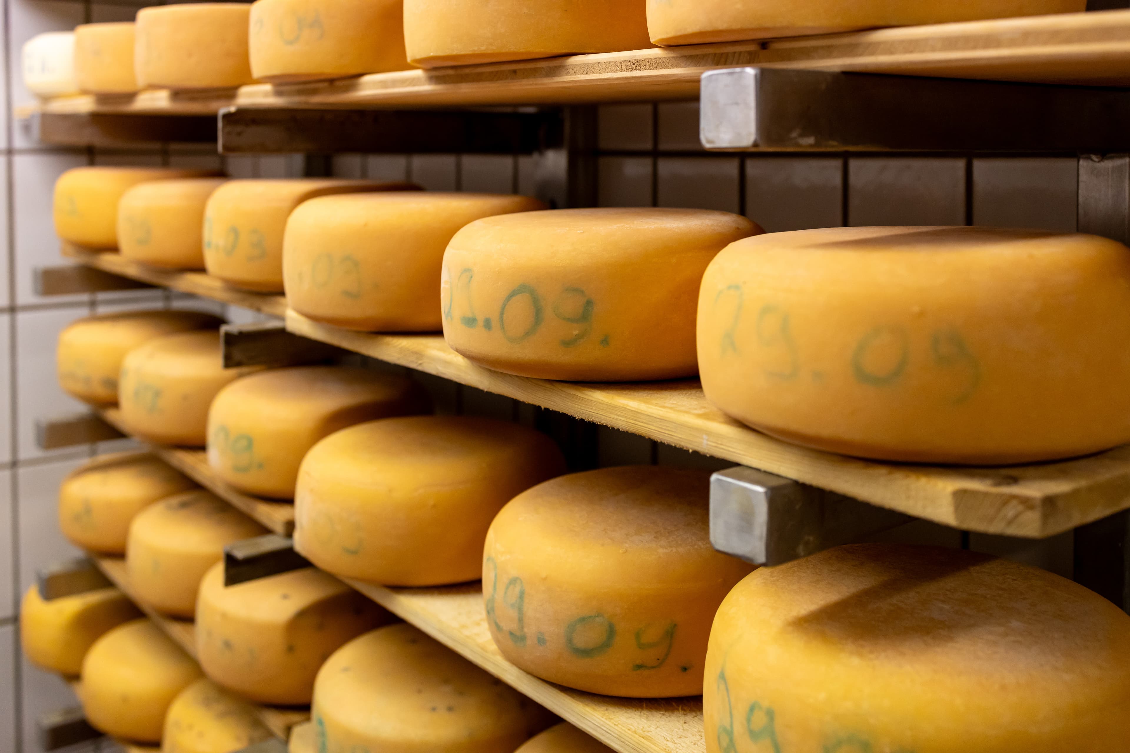 Käserei SOS-Hof Bockum