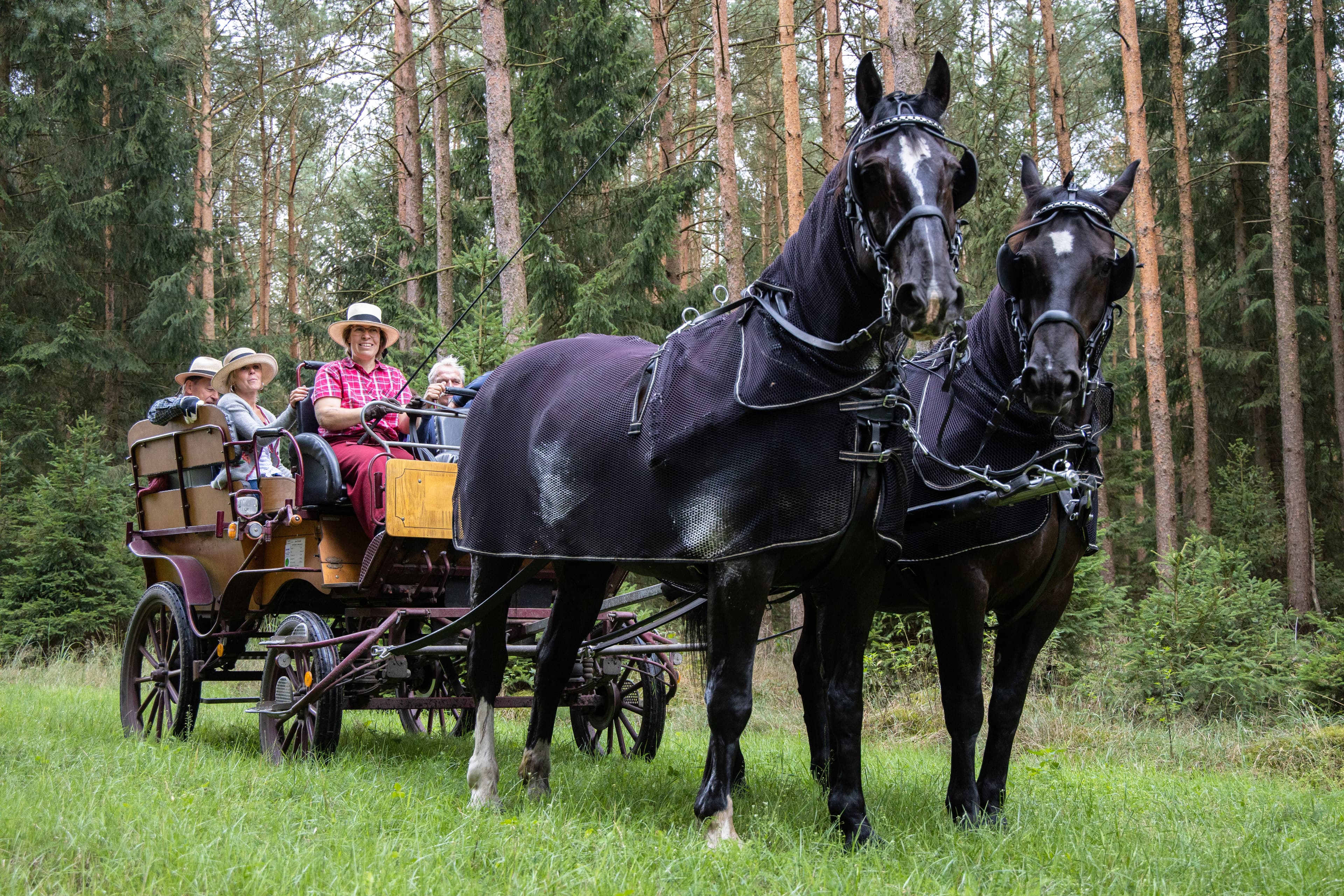 Kutschfahrt Traumzeithof