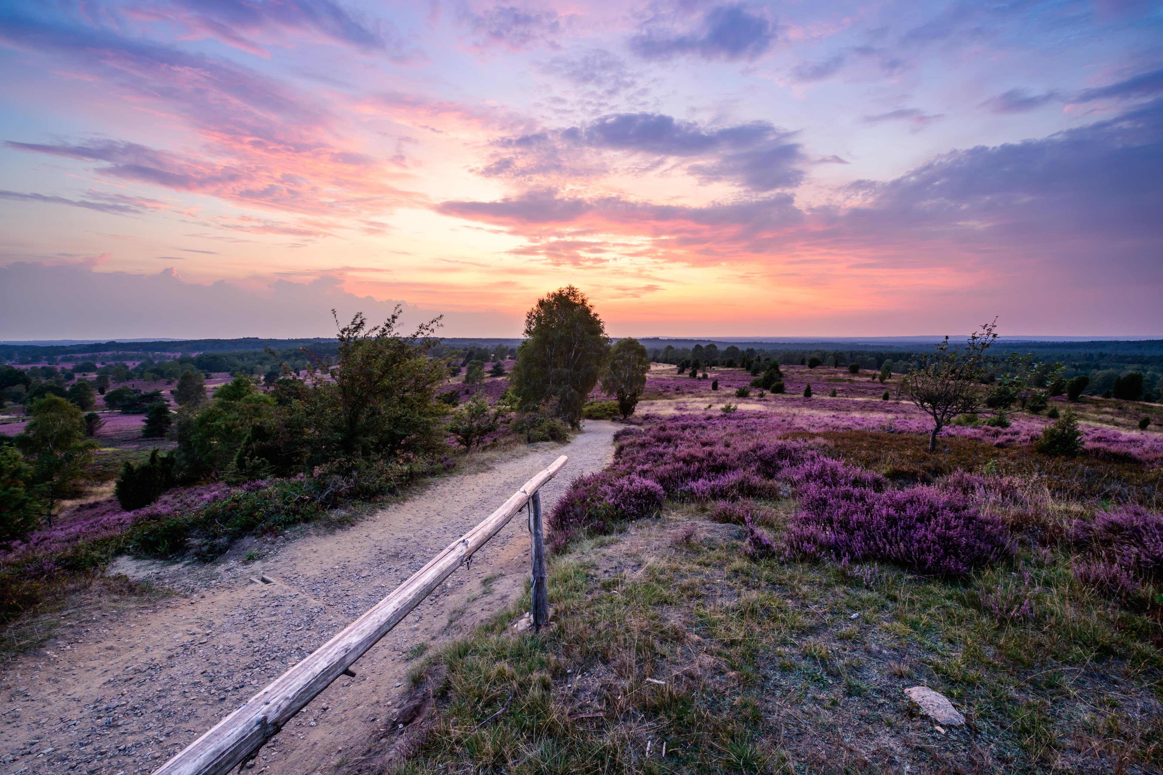 Sonnenuntergang auf dem Wilseder Berg bei Bispingen