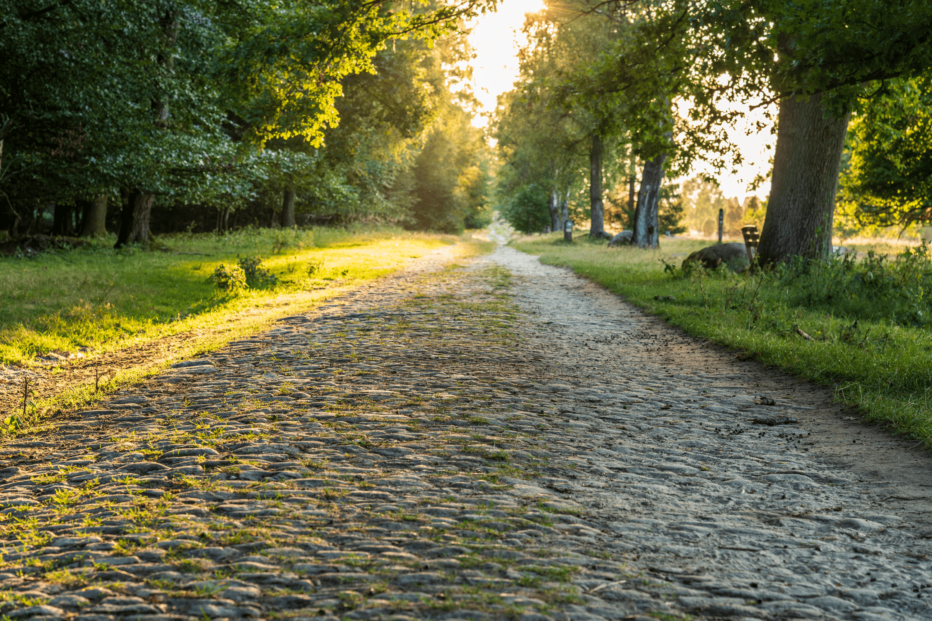 wie kommt man zum wilseder berg