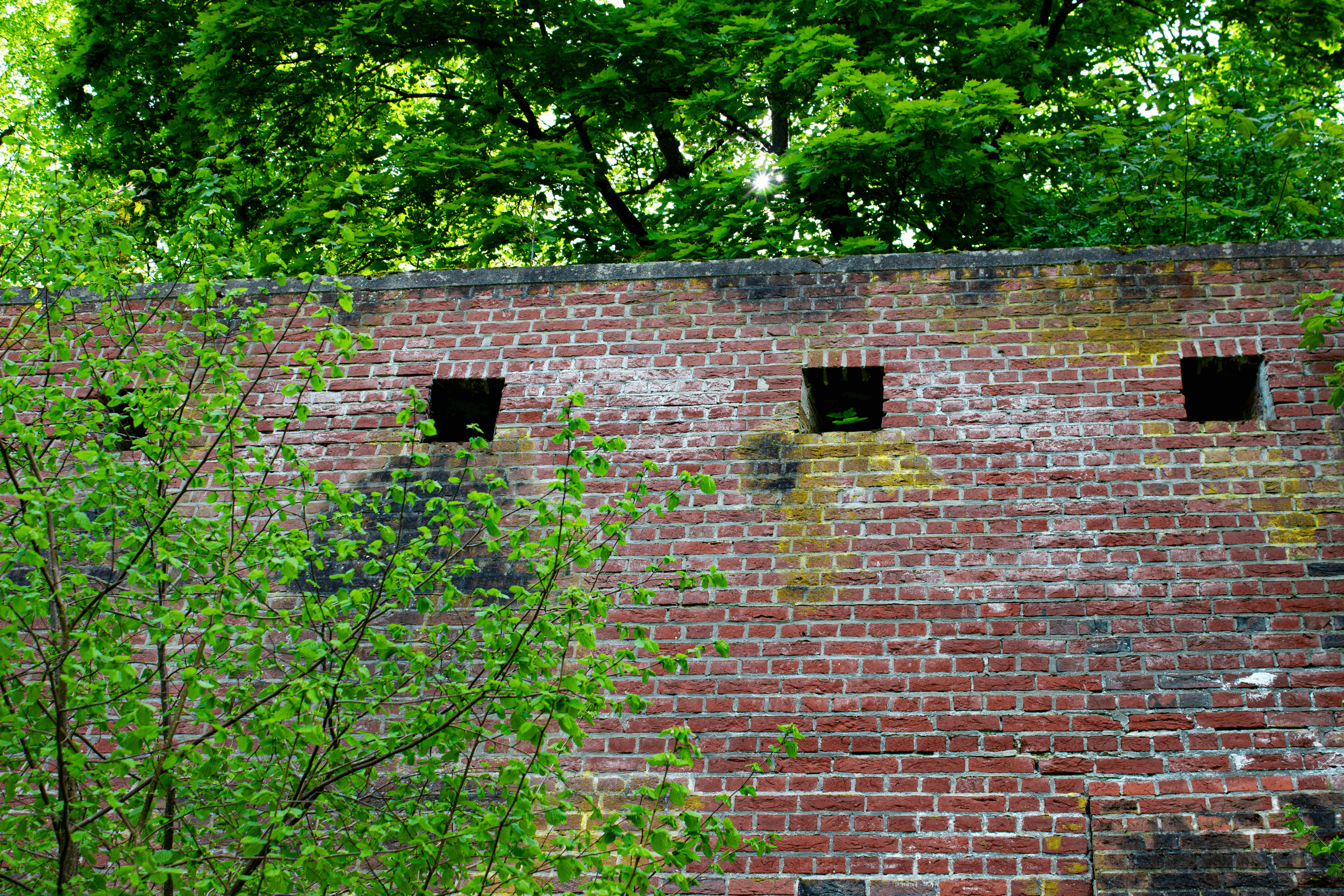 Teile der alten Stadtmauer von Lüneburg stehen noch
