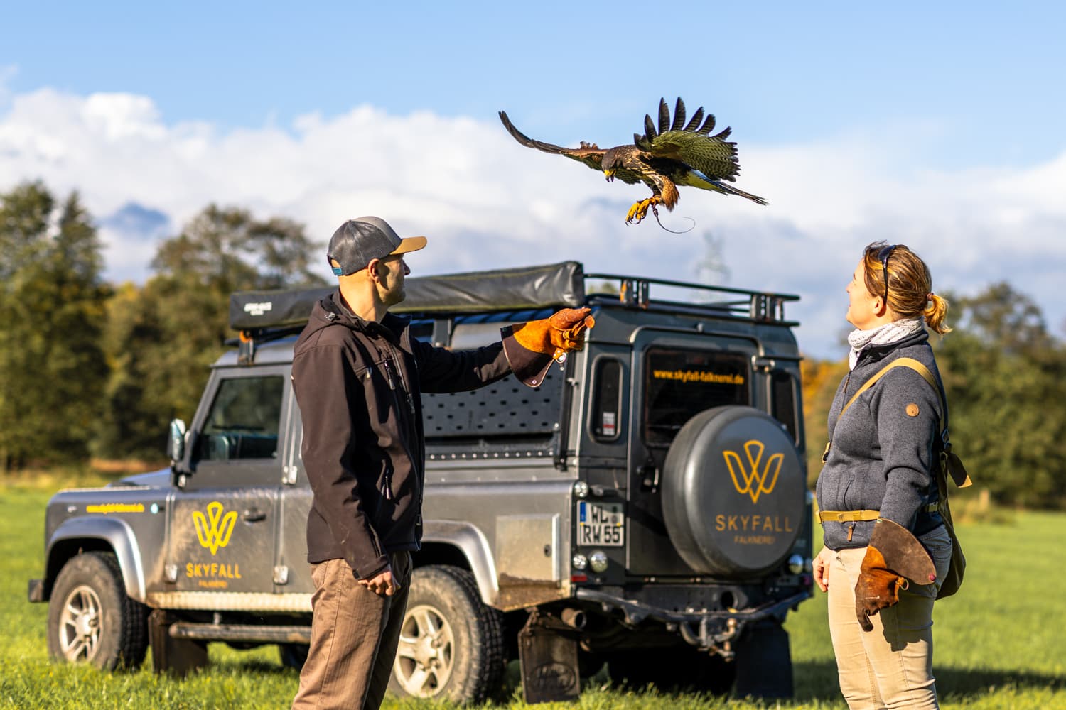 Skyfall Falknerei