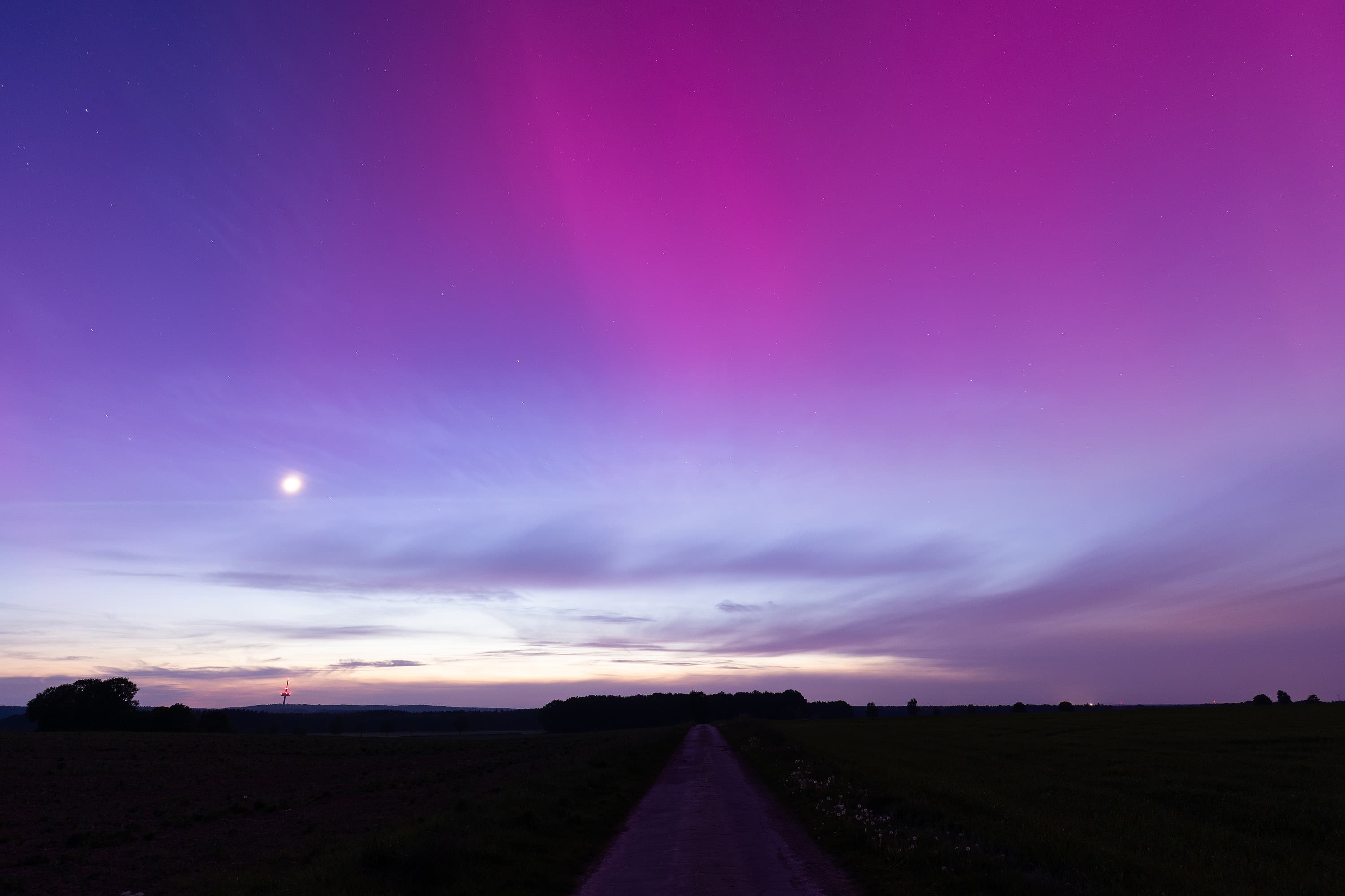 Polarlichter sind pink oder grün hier in der Heide