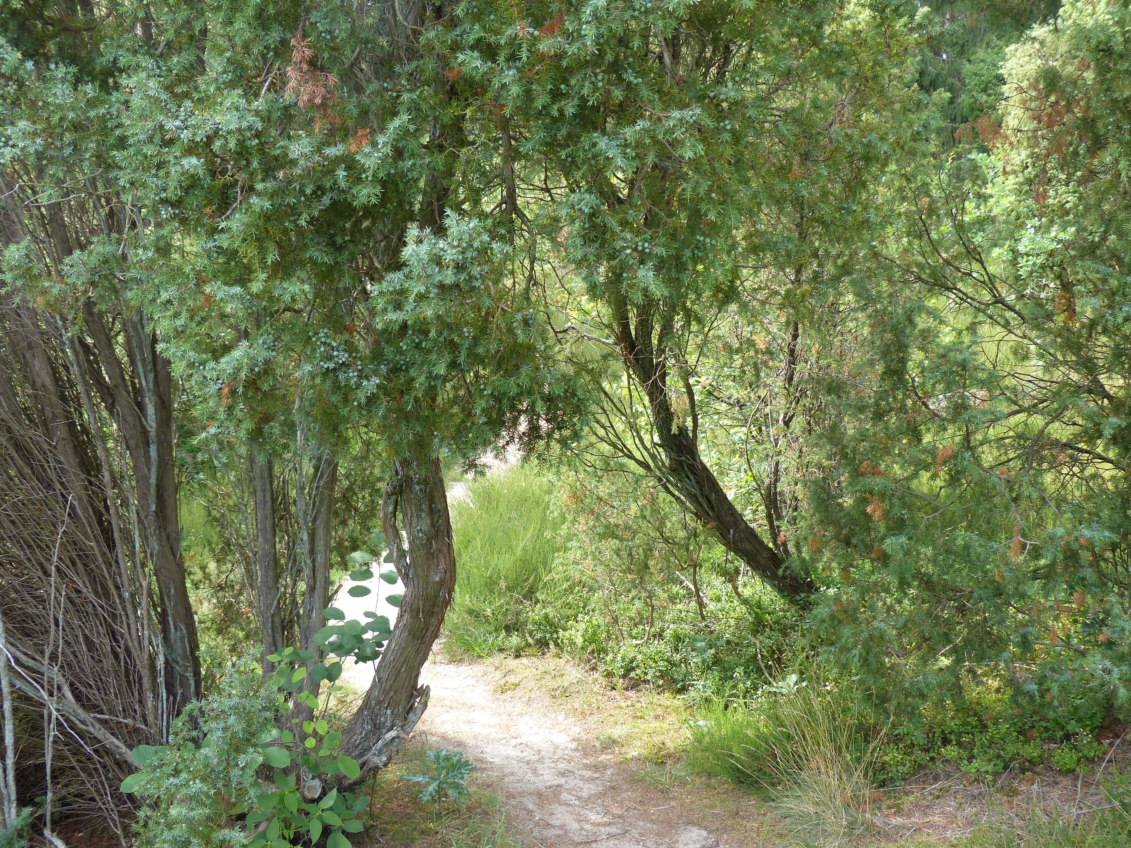 Naturwunder Nr. 4 Marxener Paradies 2