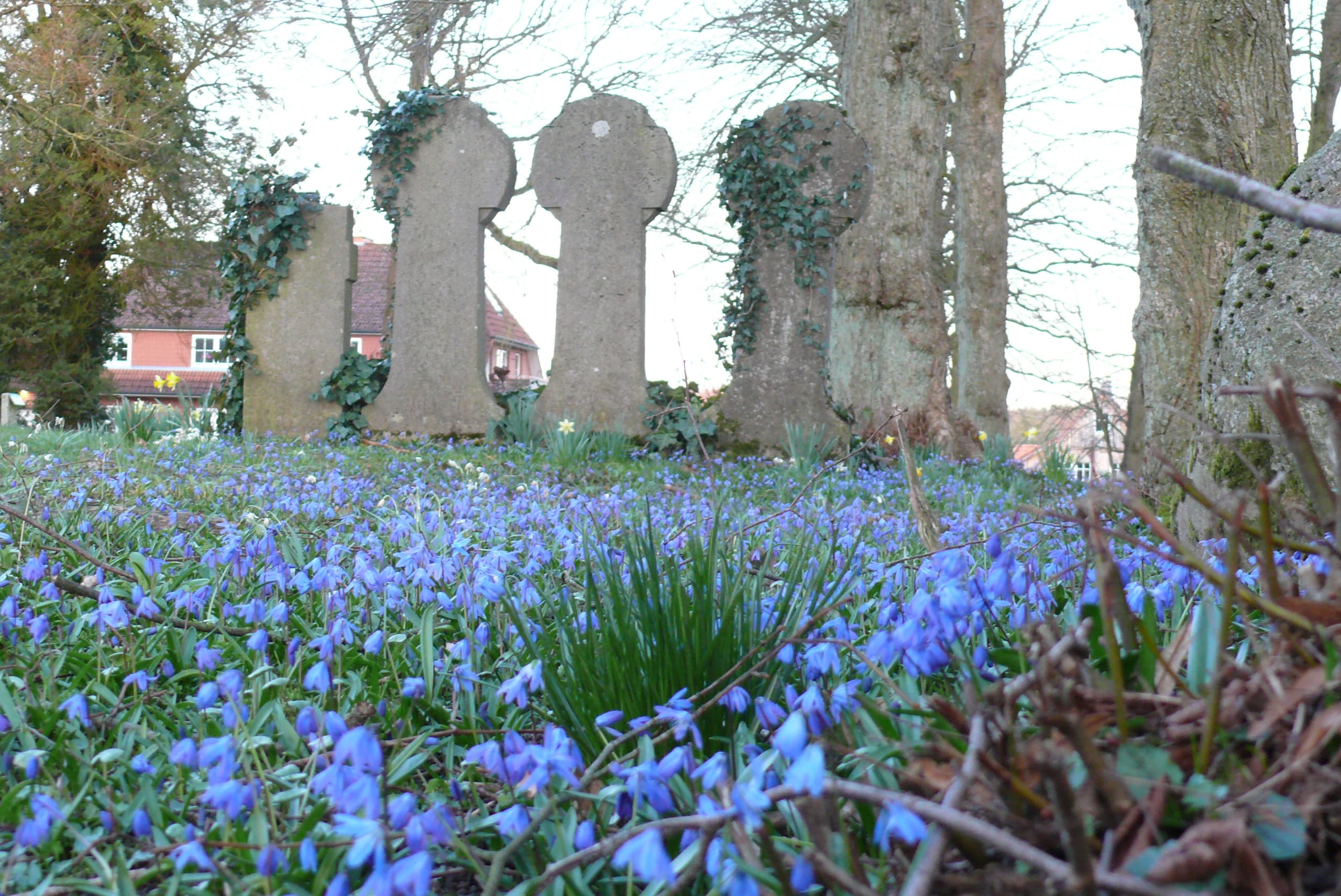 Naturwunder und Naturblicke 09_Philosophischer Steingarten