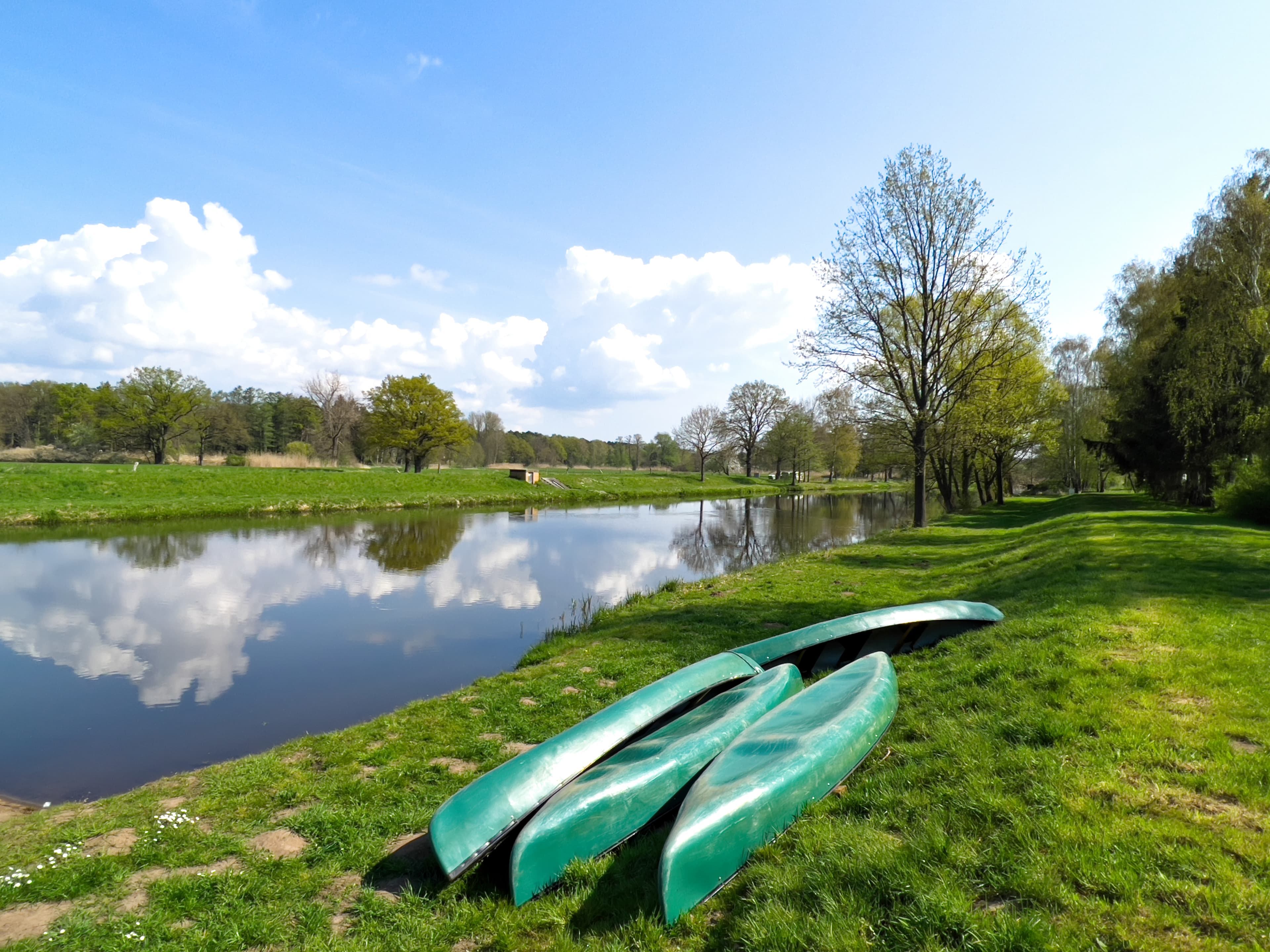 Paddeln auf der Aller in der Südheide