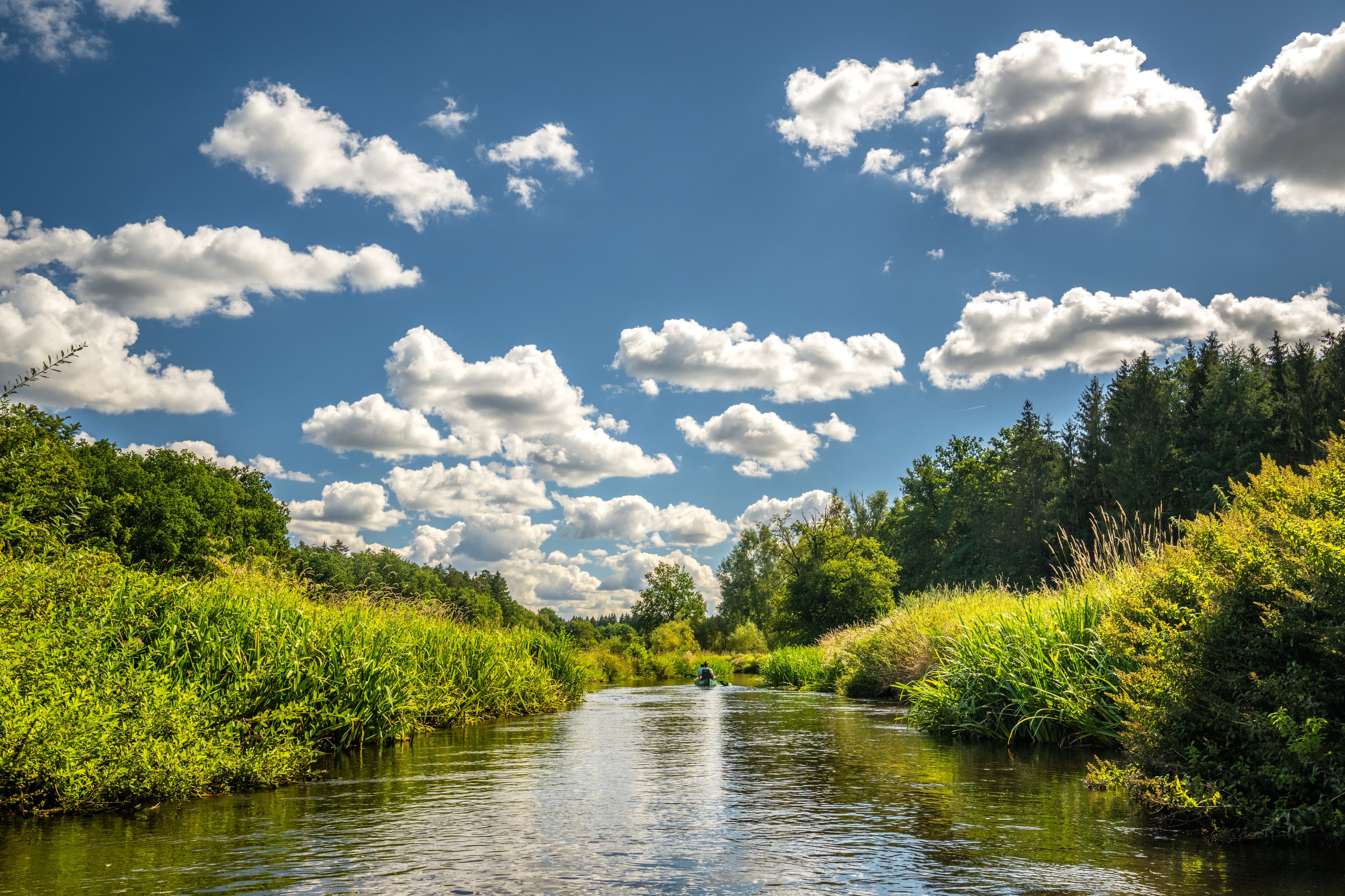 Die Örtze im Naturpark Südheide