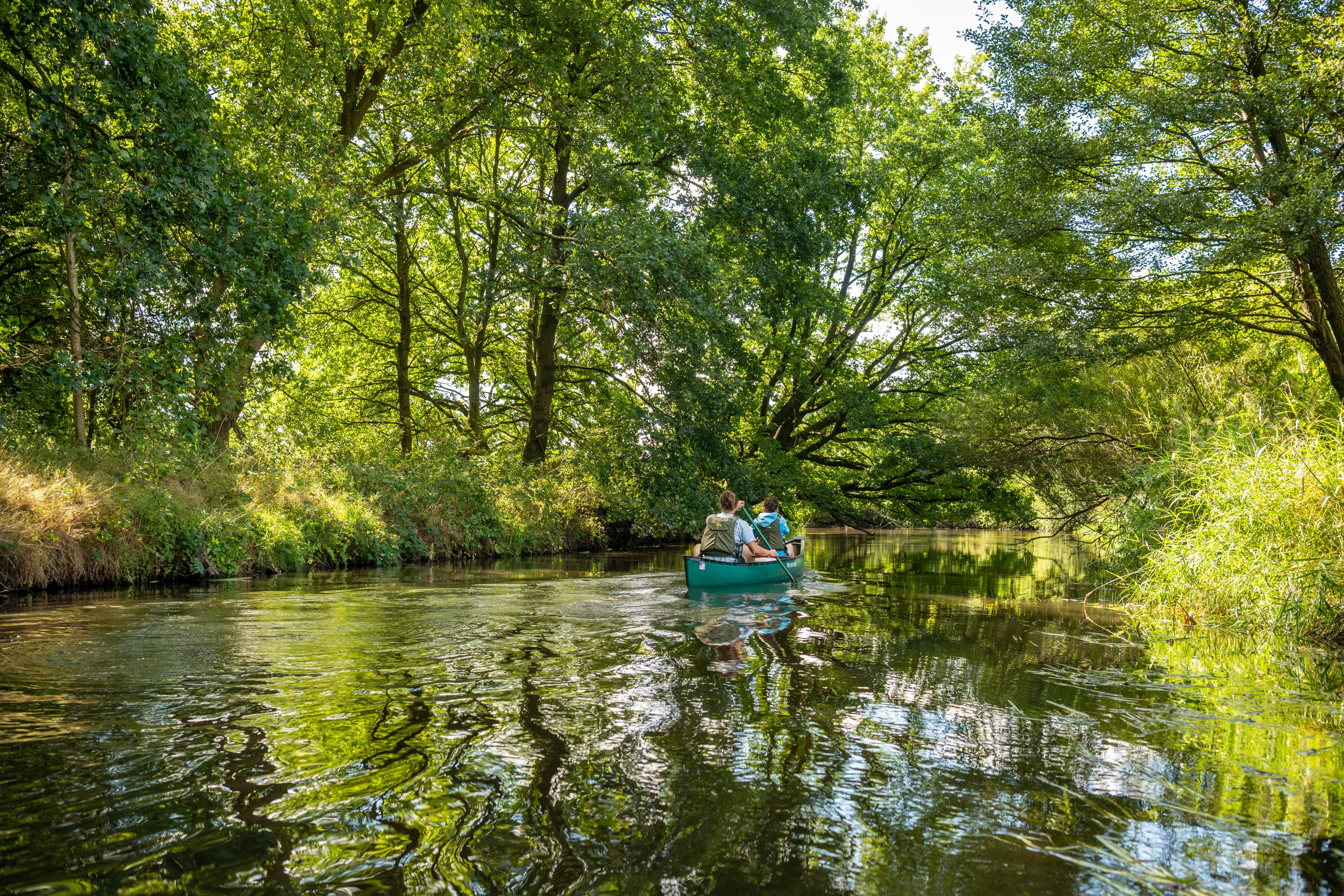 Mit dem Kanu auf der Örtze in der Südheide