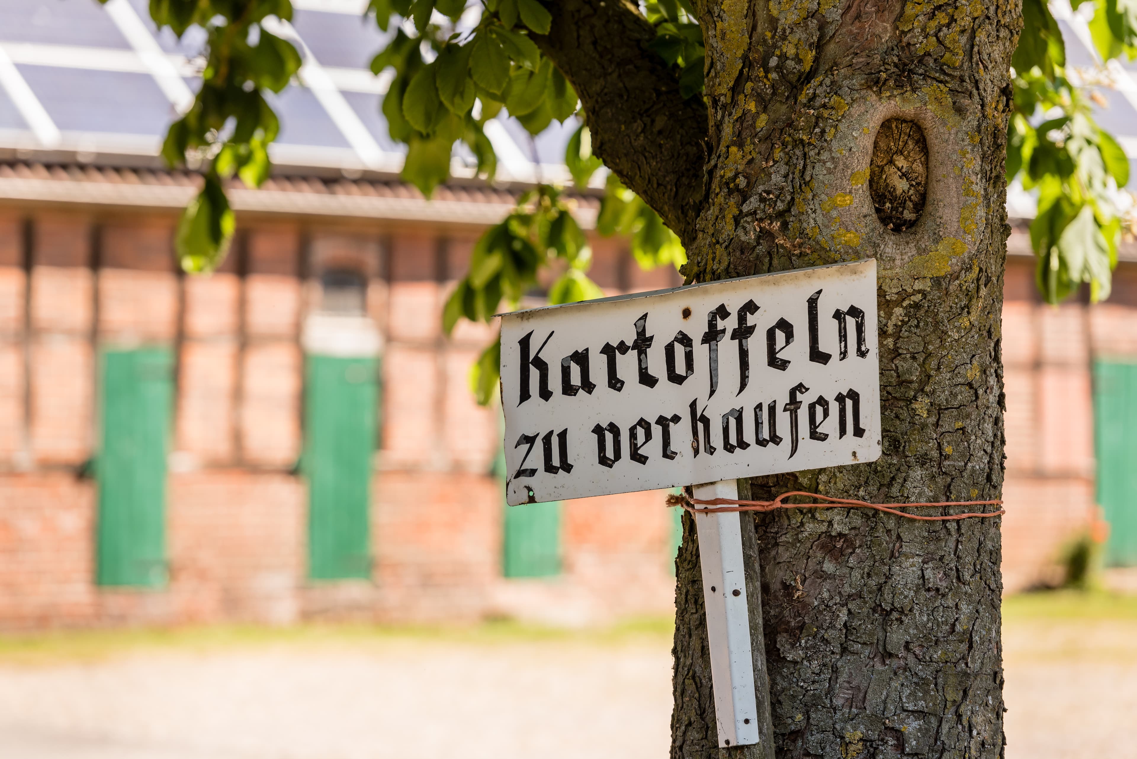 Kartoffeln zu verkaufen