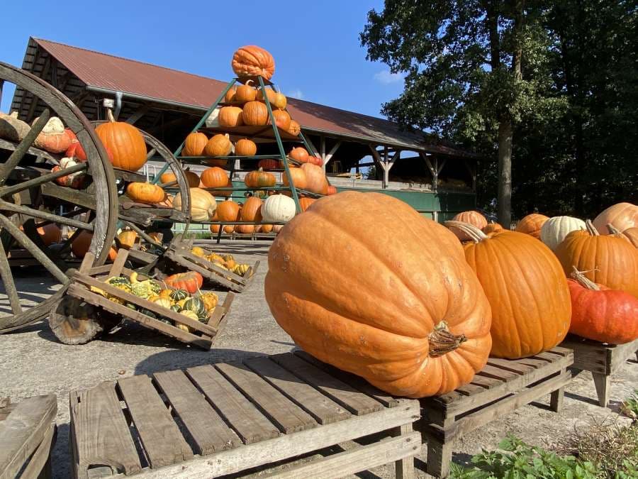 Hofladen mit Kürbissen