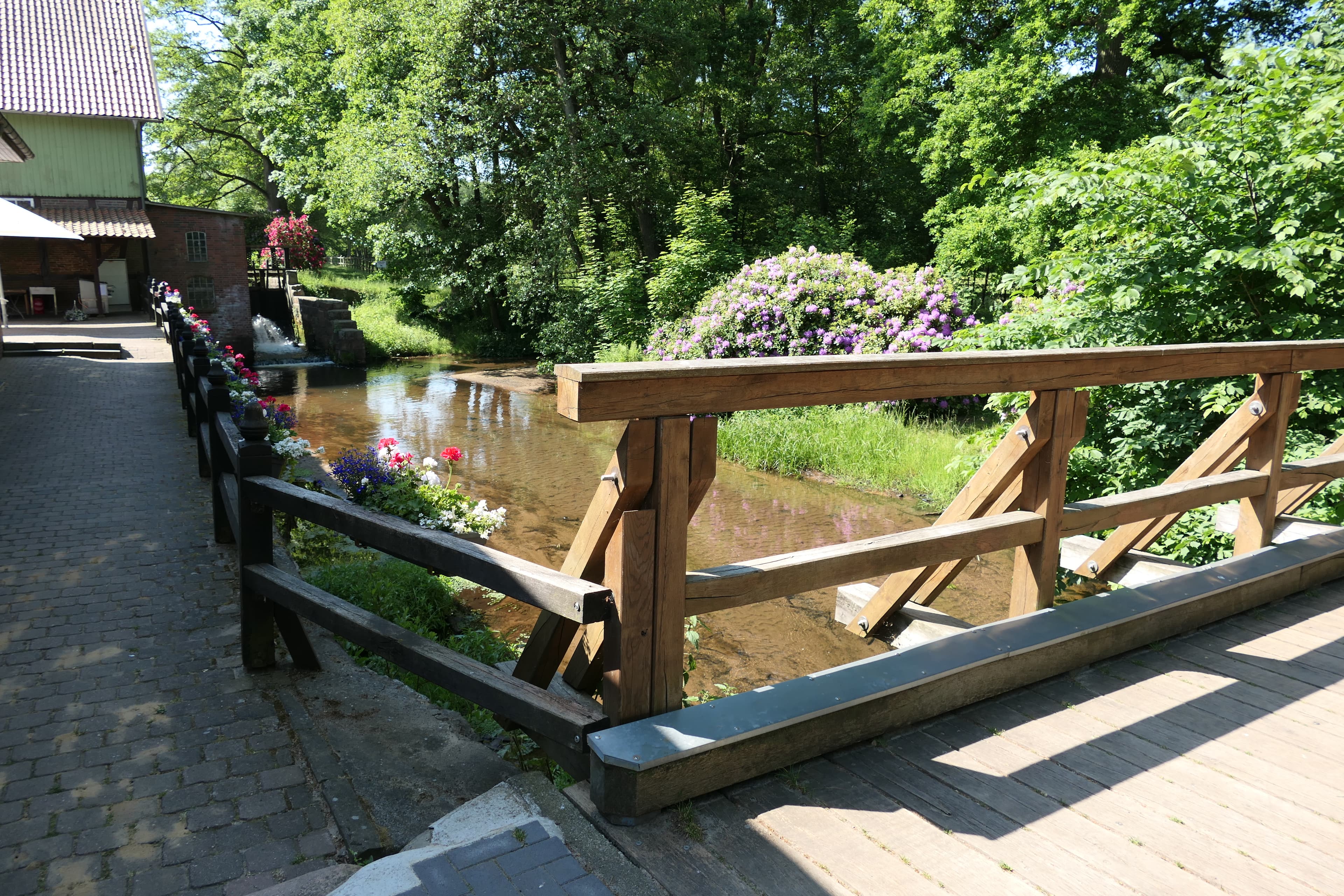 Schmale Aue im Sommer