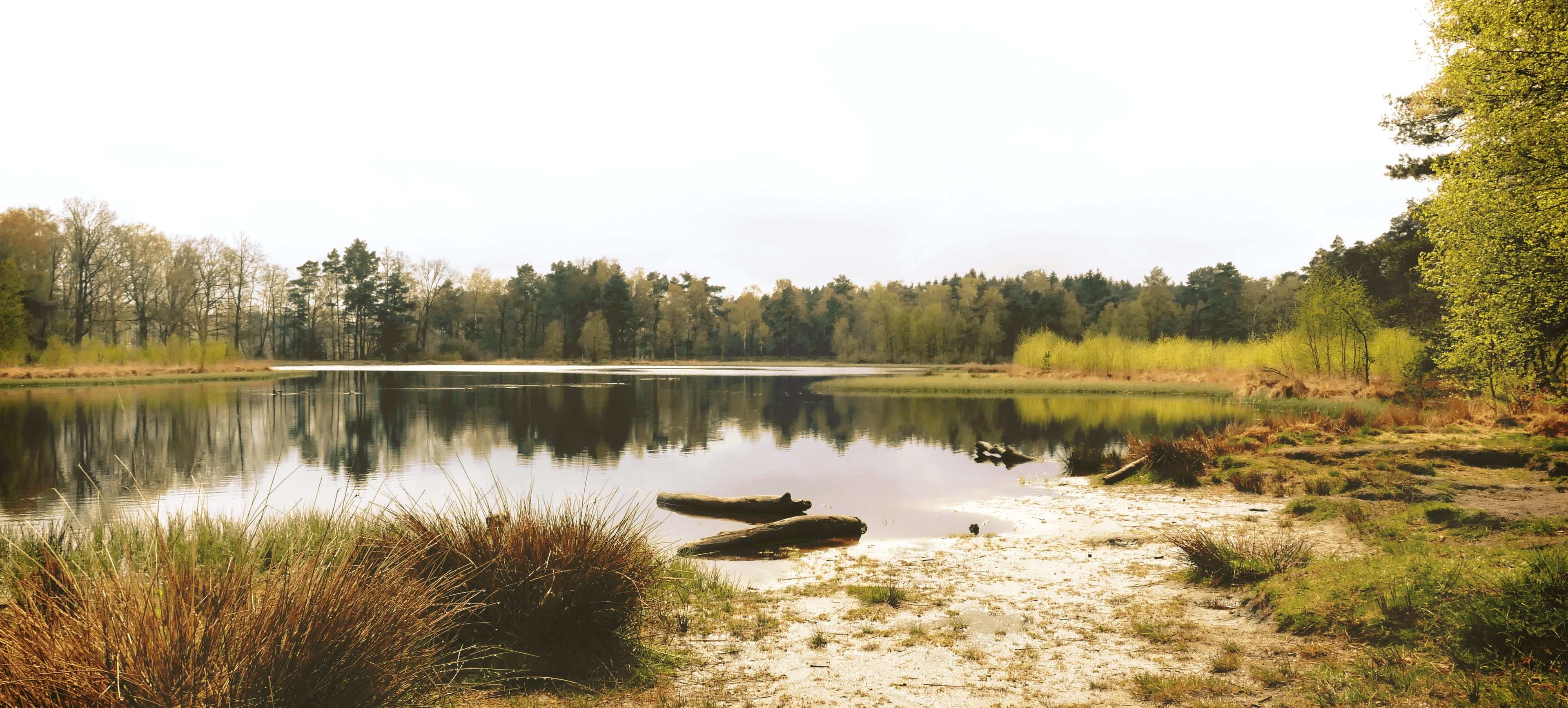 Ahlftener Flatt Heideweiher