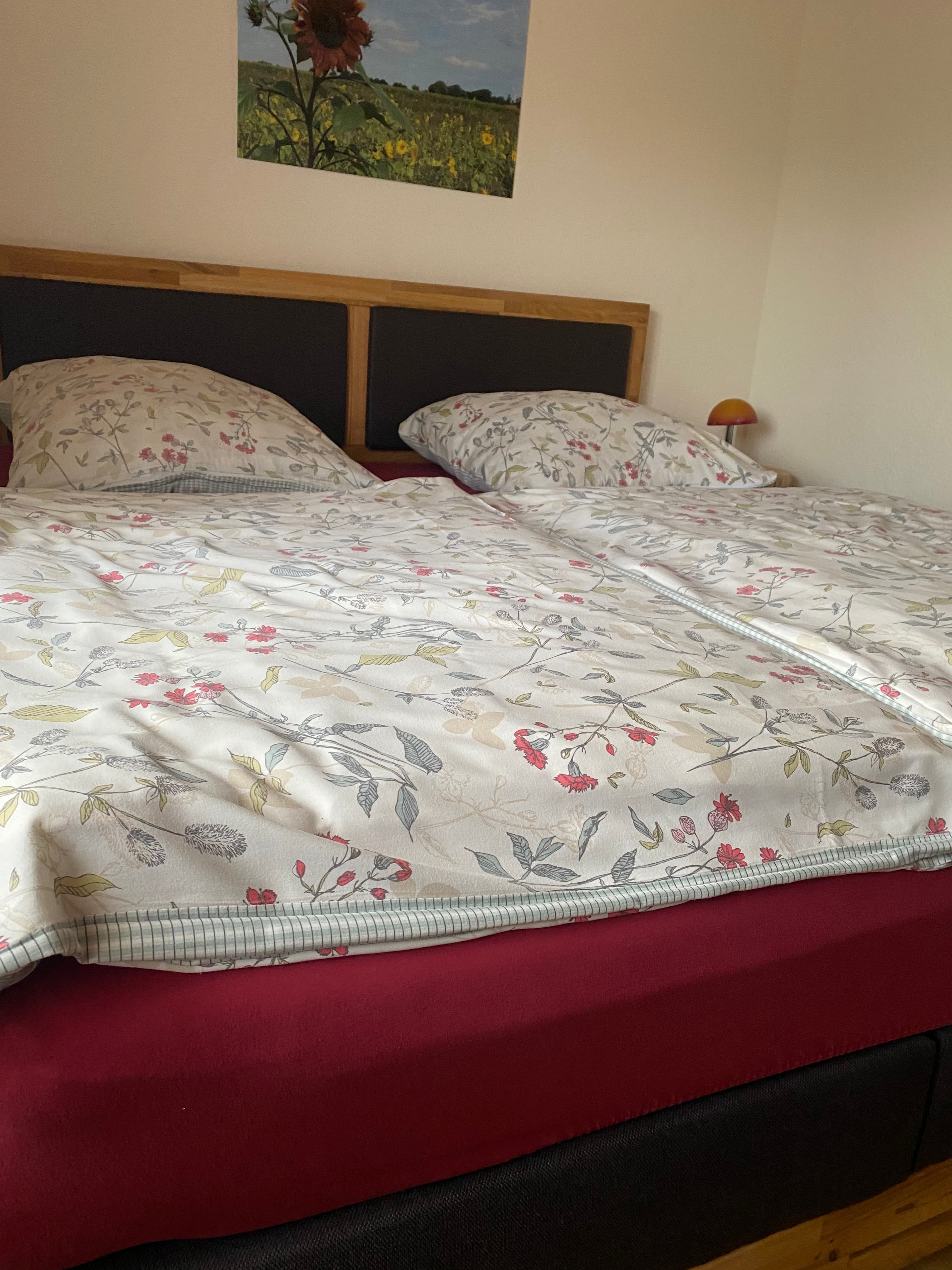 Neuland-Hof Spöring Ferienwohnung Schwalbennest Schlafzimmer