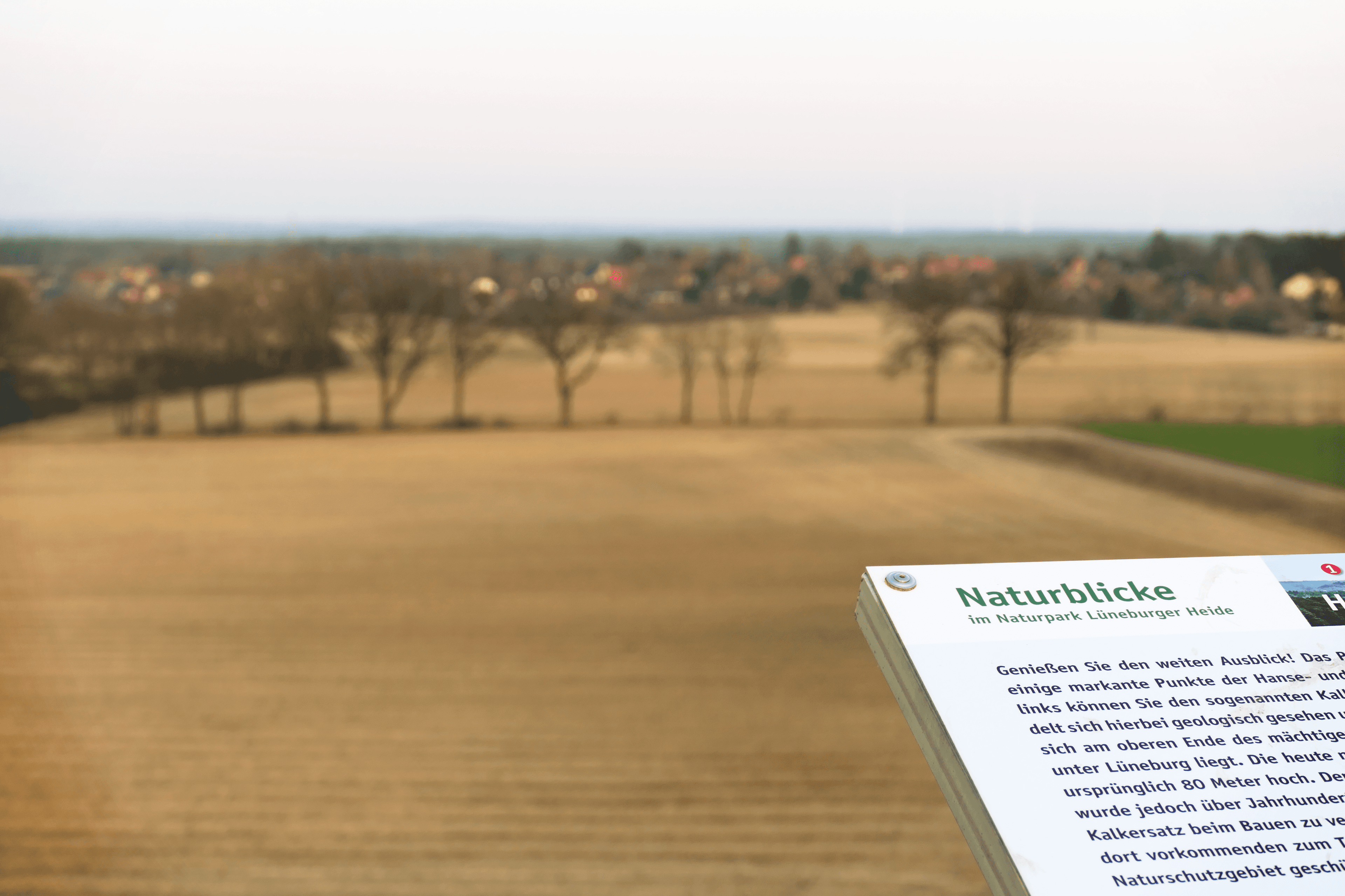 Hambörn Naturpark Aussicht