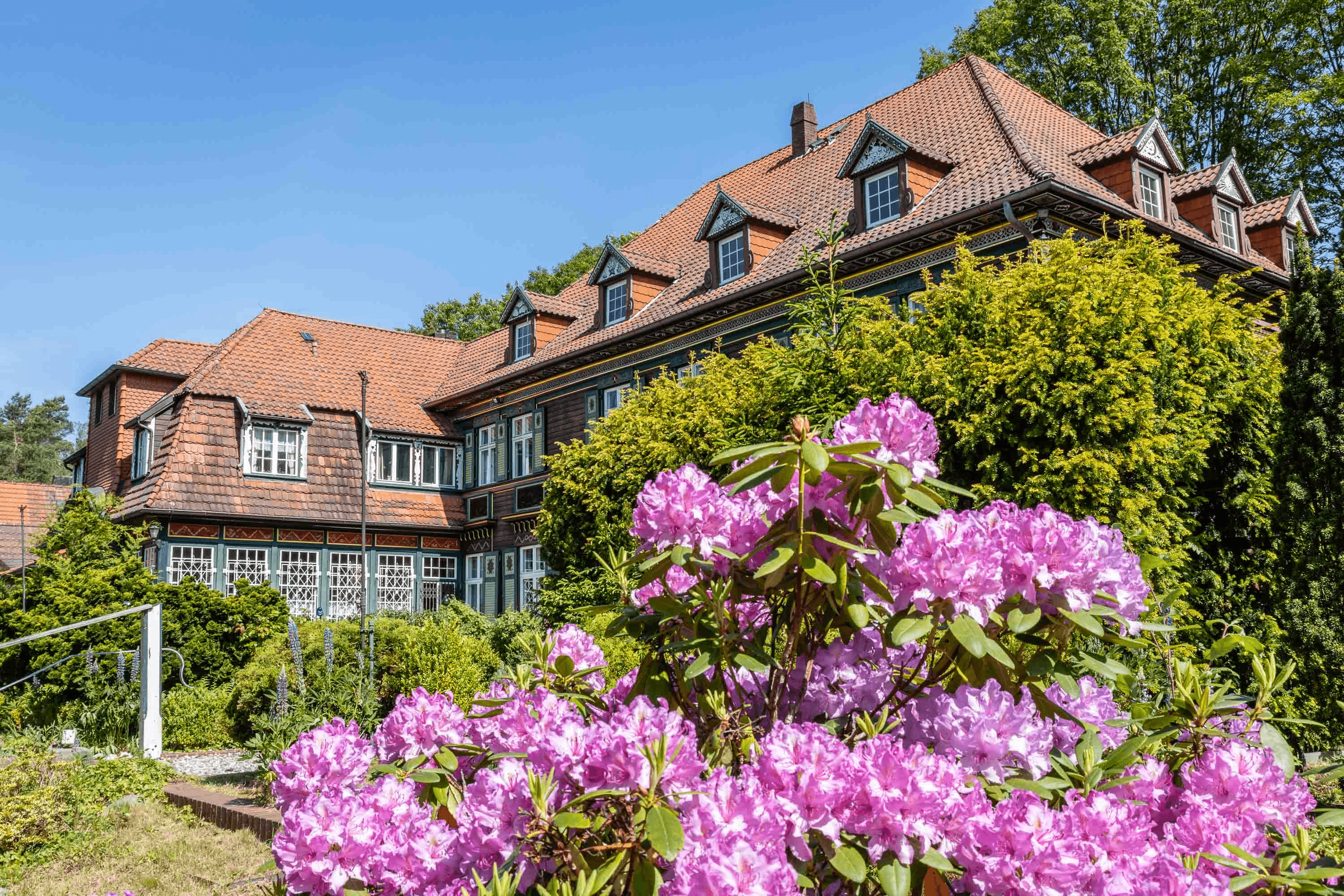 Die Iserhatsche ist eine besondere Sehenswürdigkeit der Lüneburger Heide