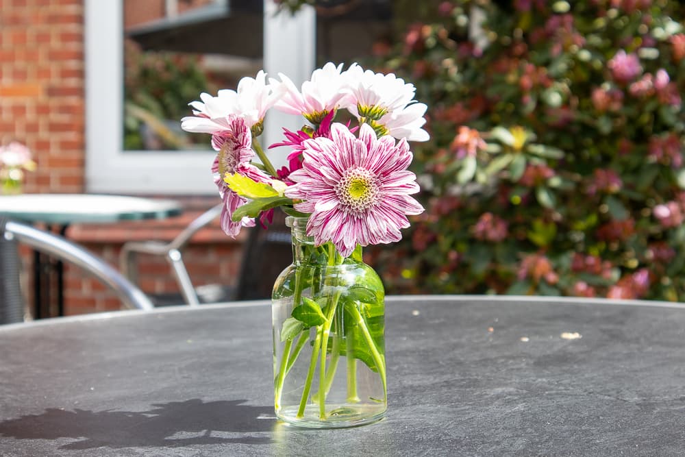 Blumen als Dekoration im Außenbereich in der Pension Auetal