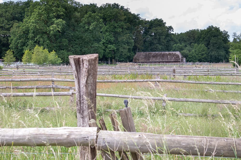 Viel Natur rund um die Pension Auetal