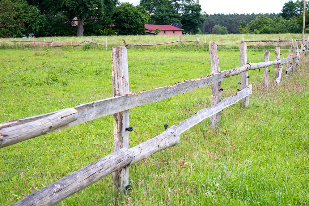 Auslaufwiese der Pension Auetal