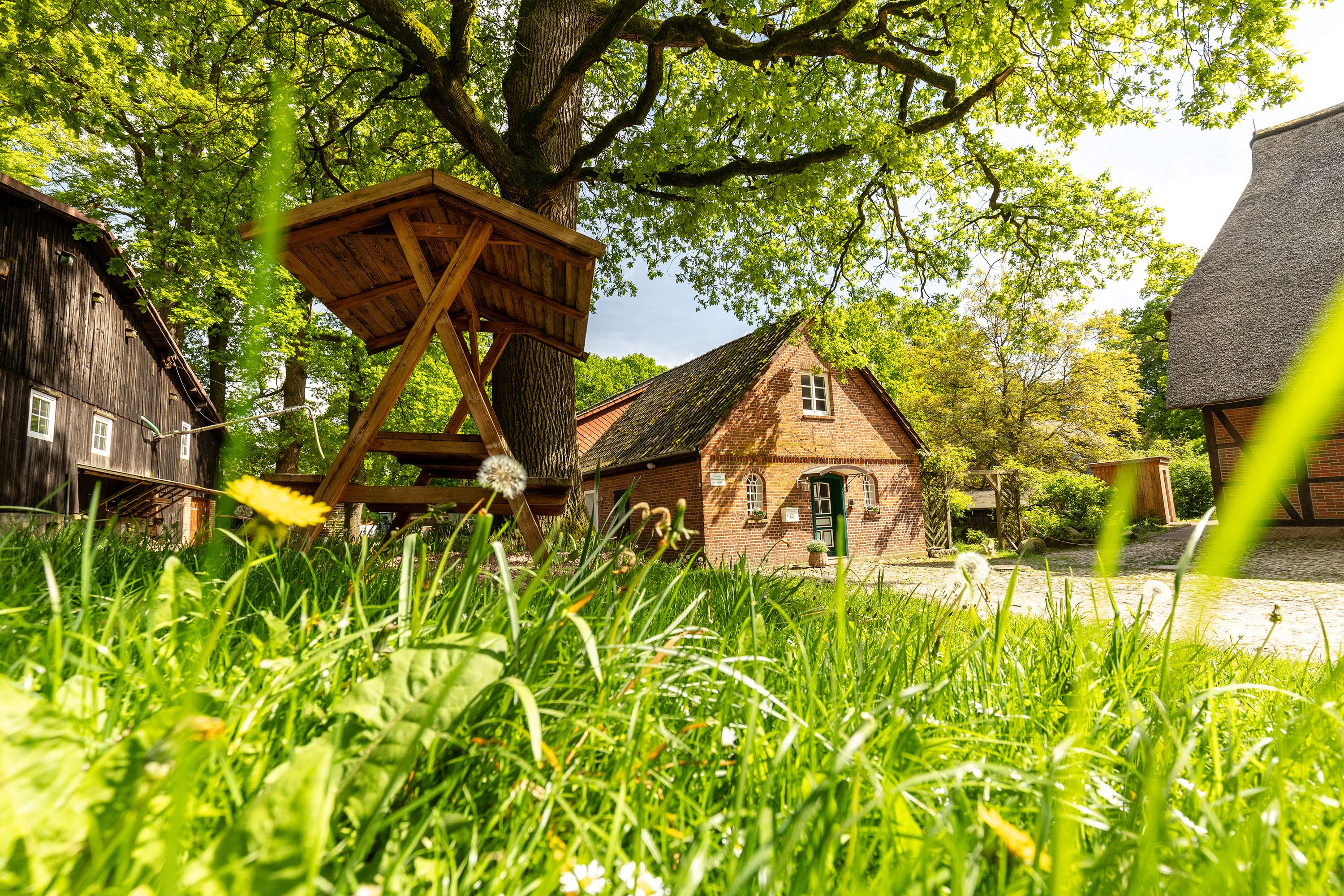 Hofgelände Bockelmann in Bispingen Lüneburger Heide