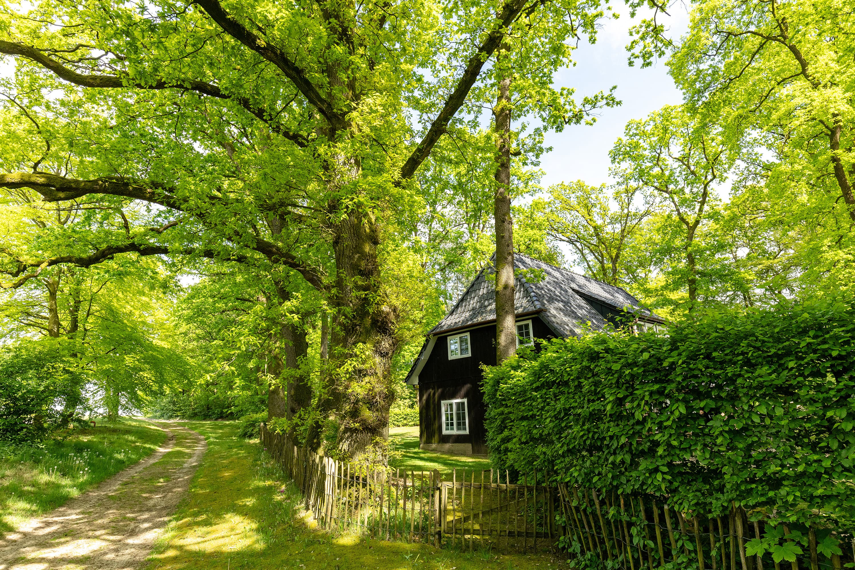 Natur auf dem Hof Bockelmann in Bispingen Lüneburger Heide