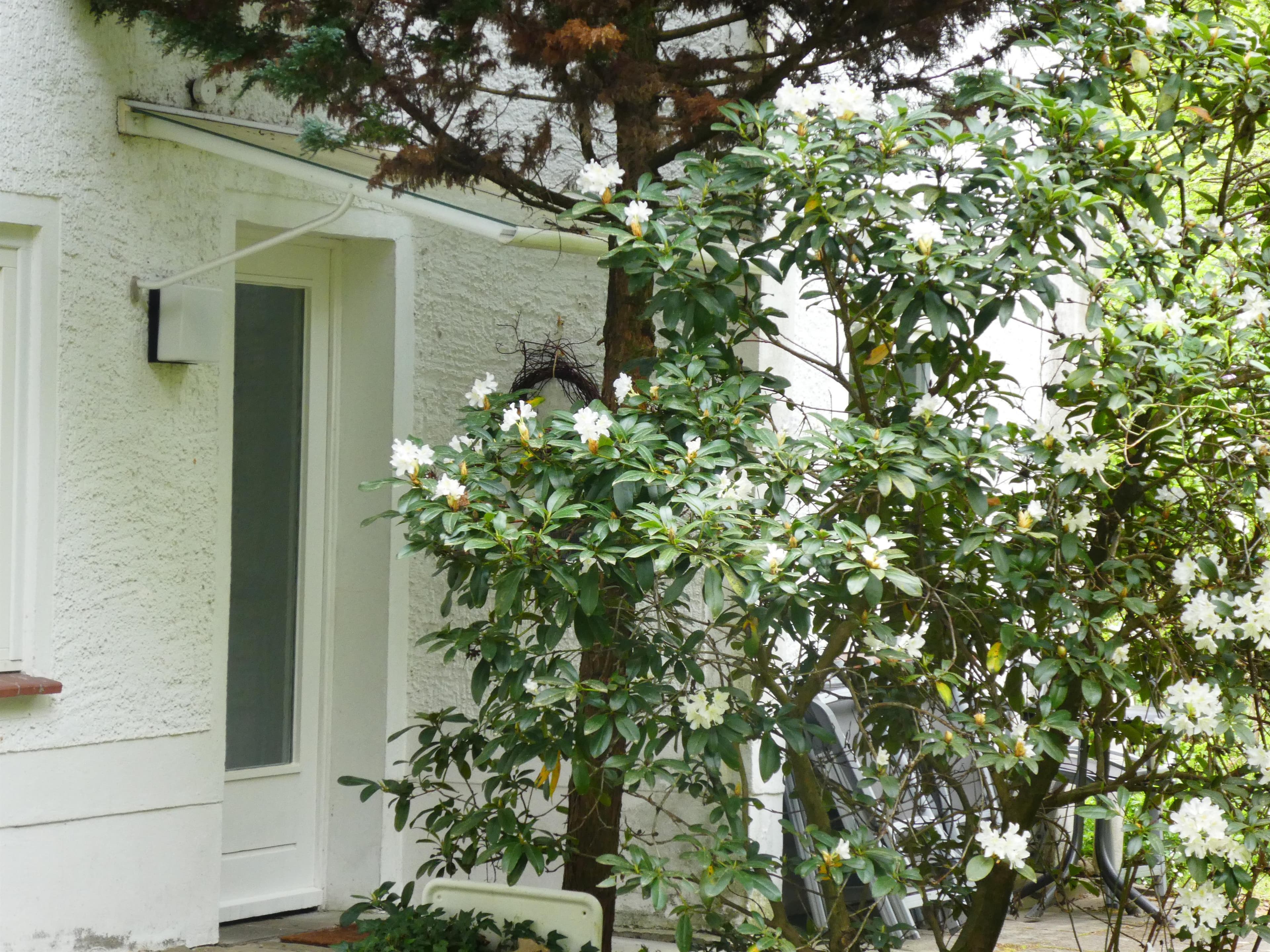 Ferienwohnung Niemann Lutterloh Eingang