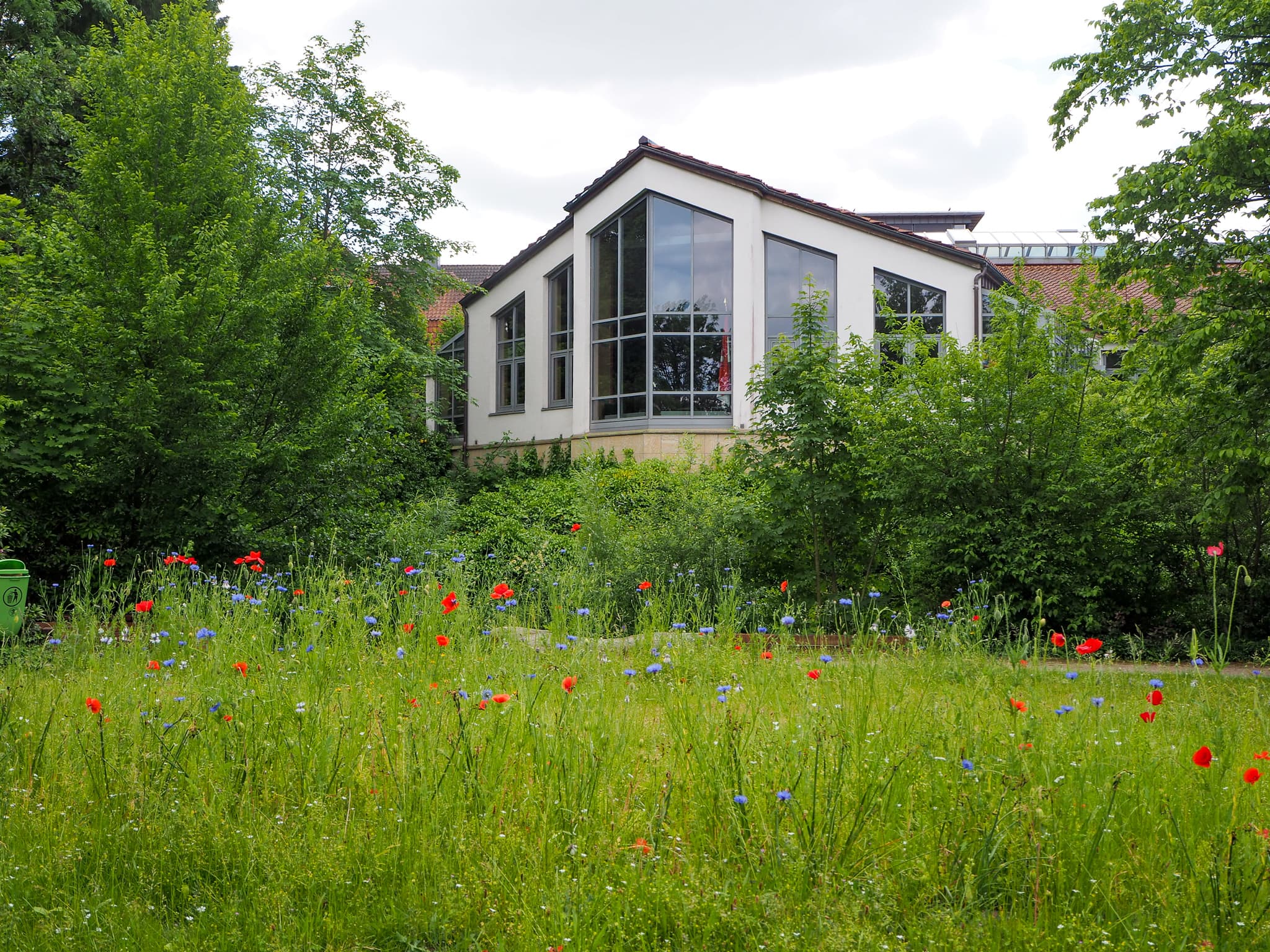 der herrlich angelegte Kurpark Bad Fallingbostel