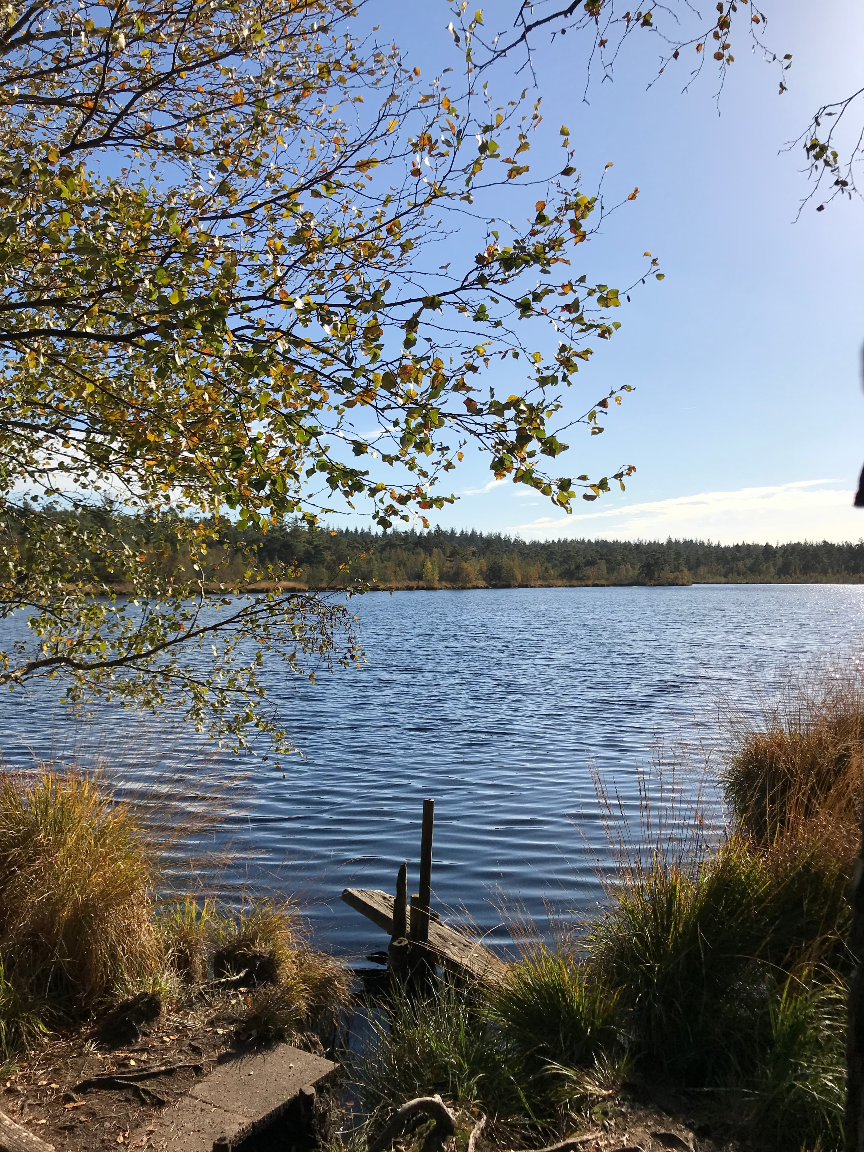 schöner Blick auf den Grundlosen See in Walsrode