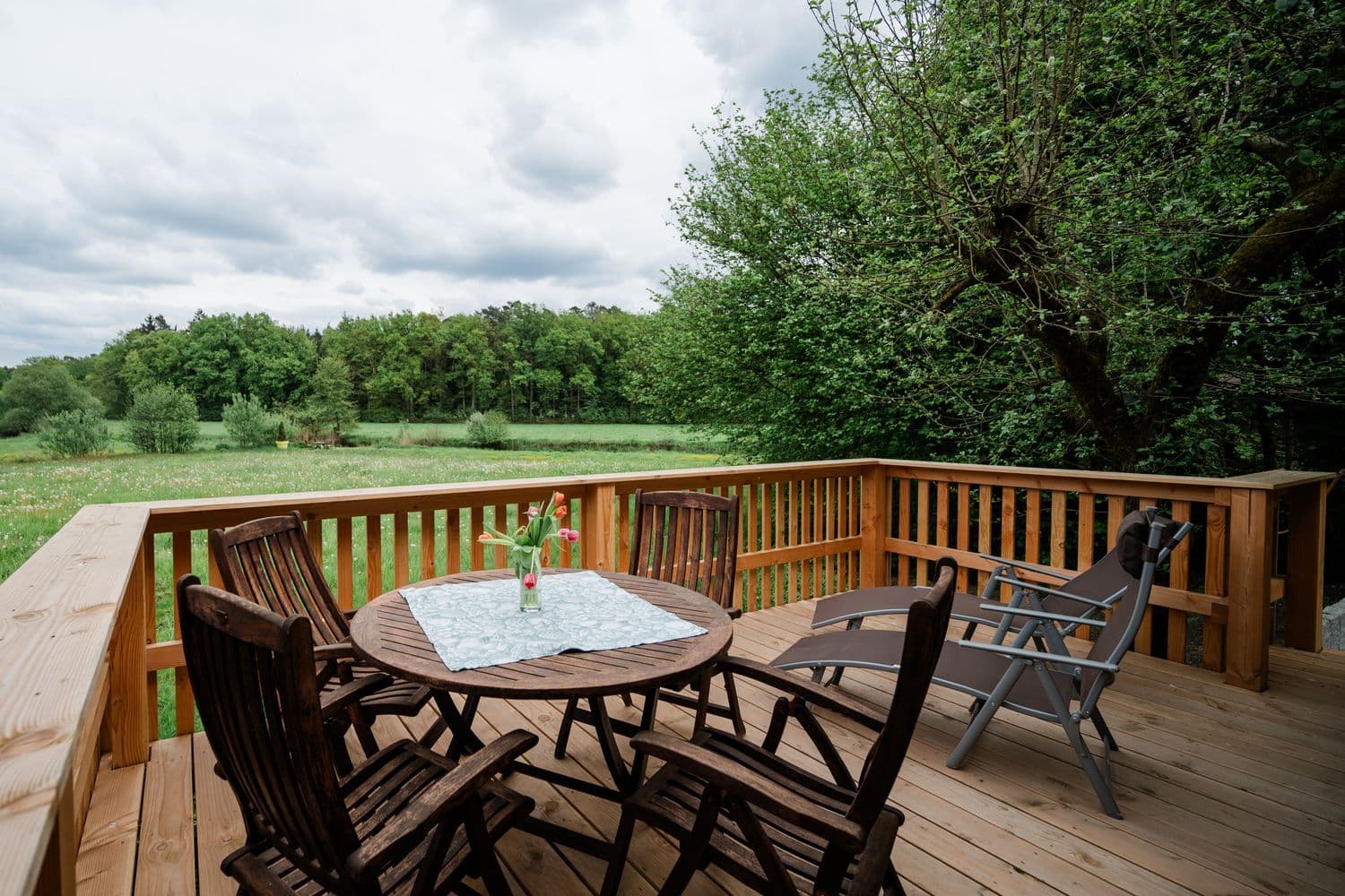 Ausblick vom Ferienhaus Oertzespeicher in Hermannsburg