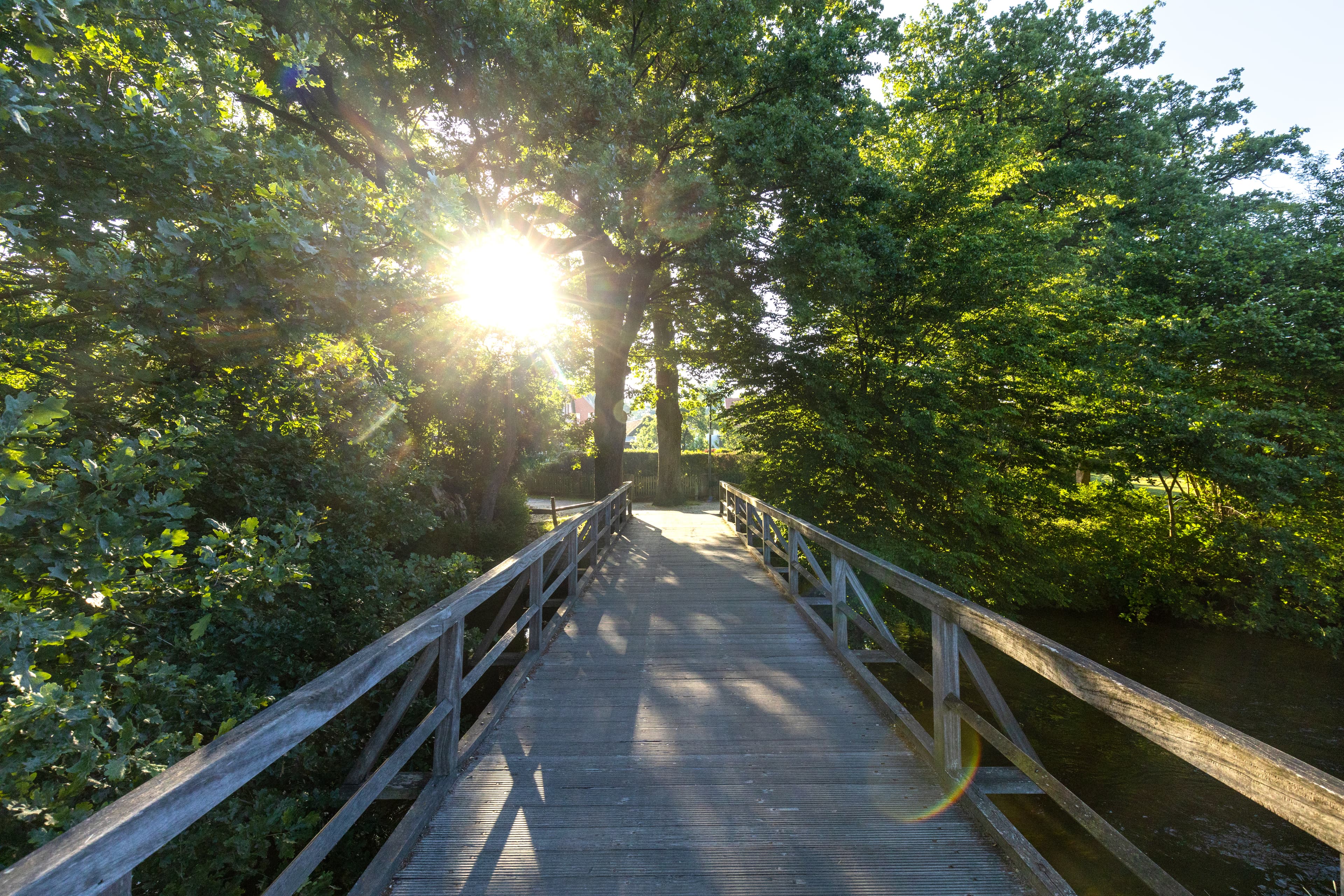 Brücke im Örtzepark in Hermannsburg