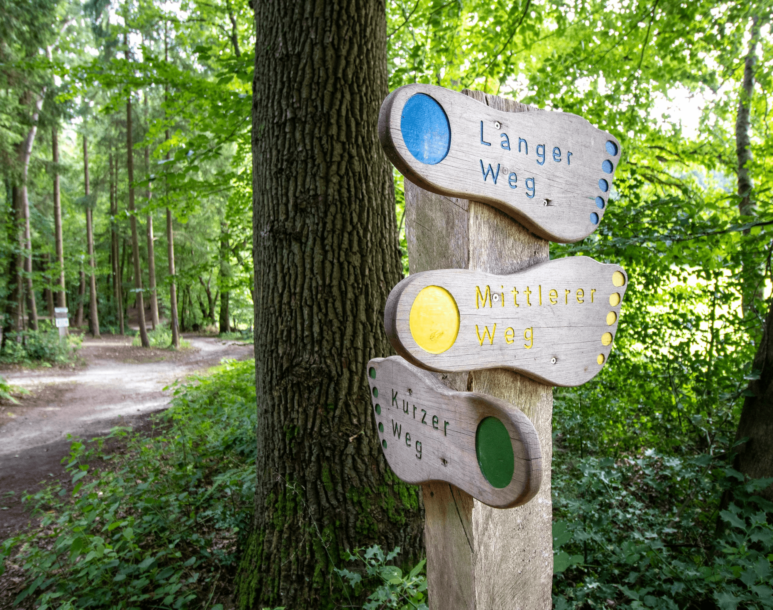 Sogar für die Wegbeschilderung im barfusspark egestorf werden füsse genommen