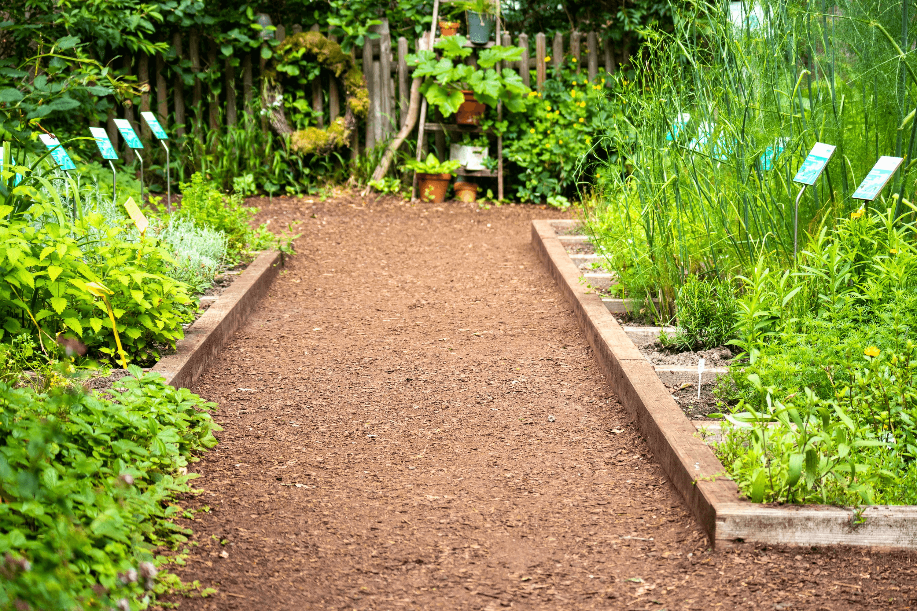 im Barfusspark Egestorf gibt es einen Kräutergarten