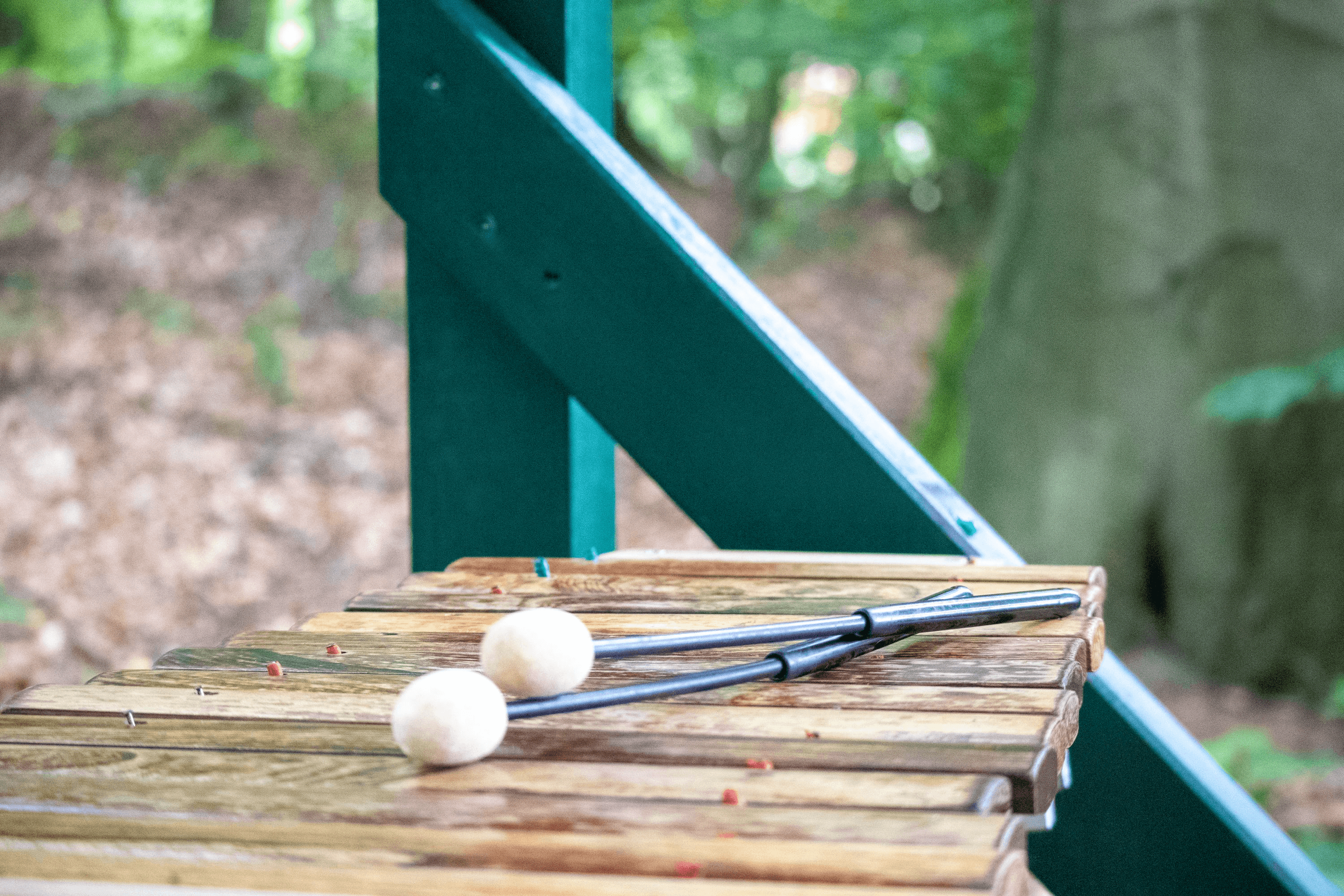 eine station sind Klanghölzer im Barfußpark lüneburger heide