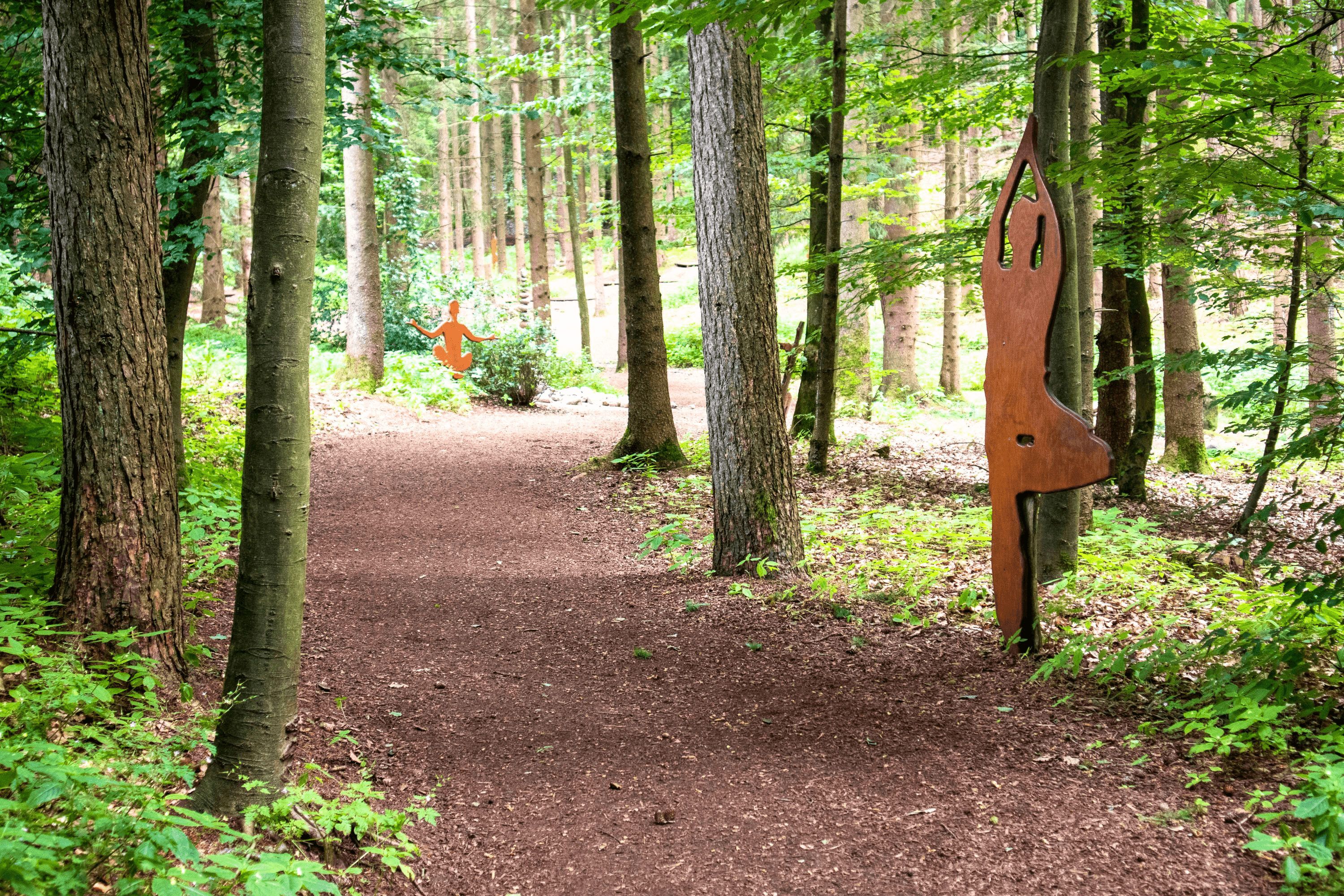 der yoga wald im egestorfer barfusspark