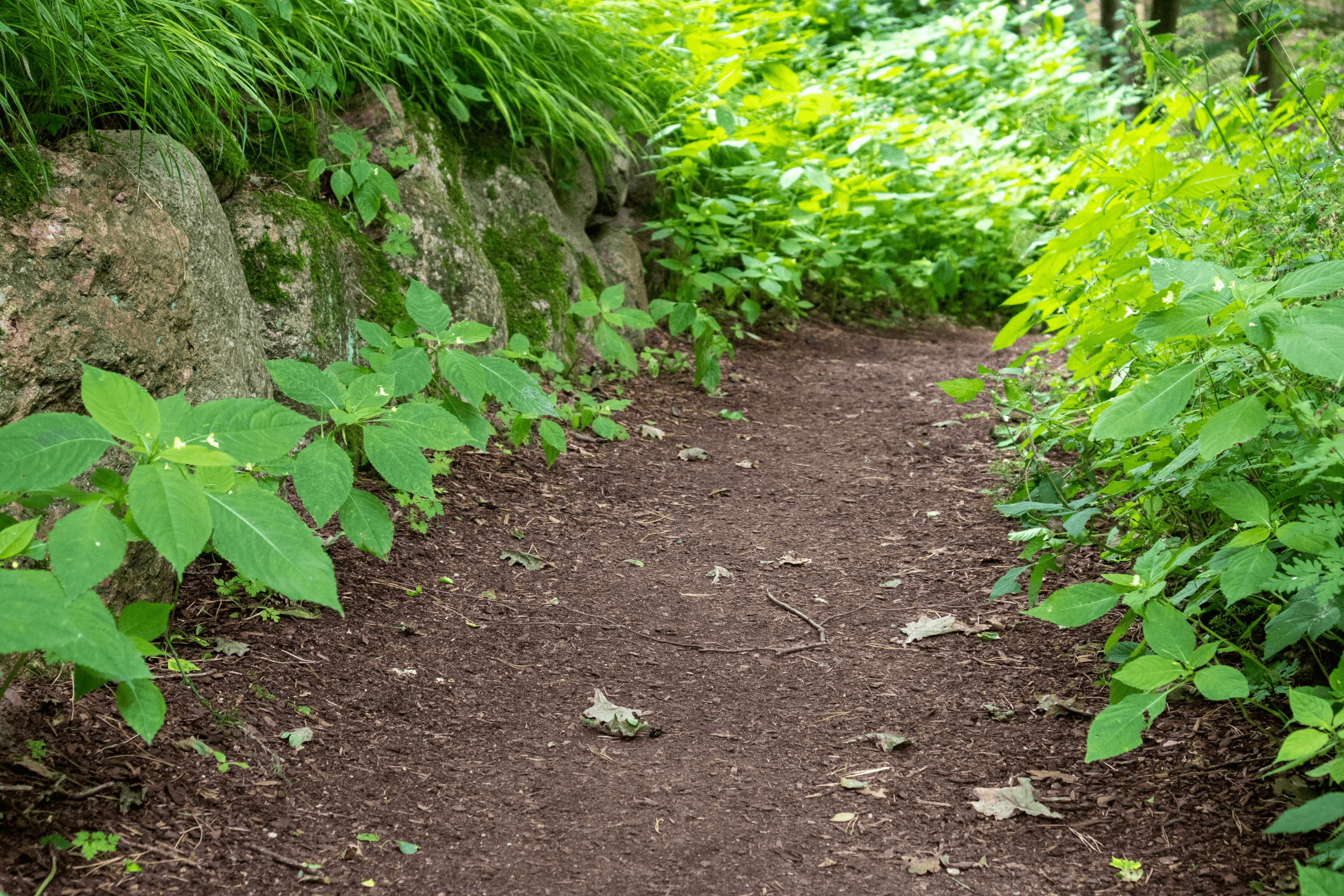im Barfußpark Egestorf geht es über waldwege von station zu station