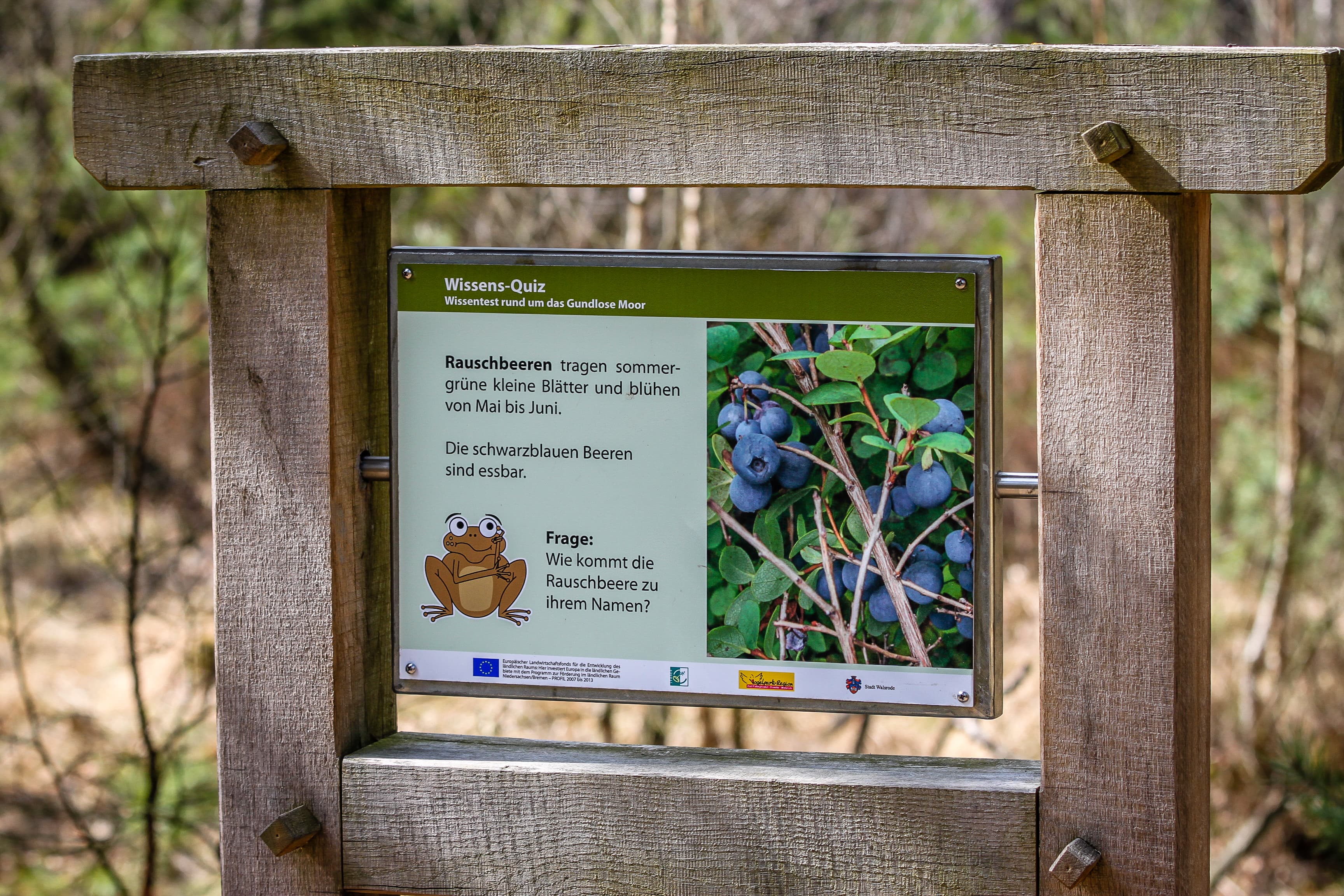 Quizfragen am Grundlosen See Walsrode
