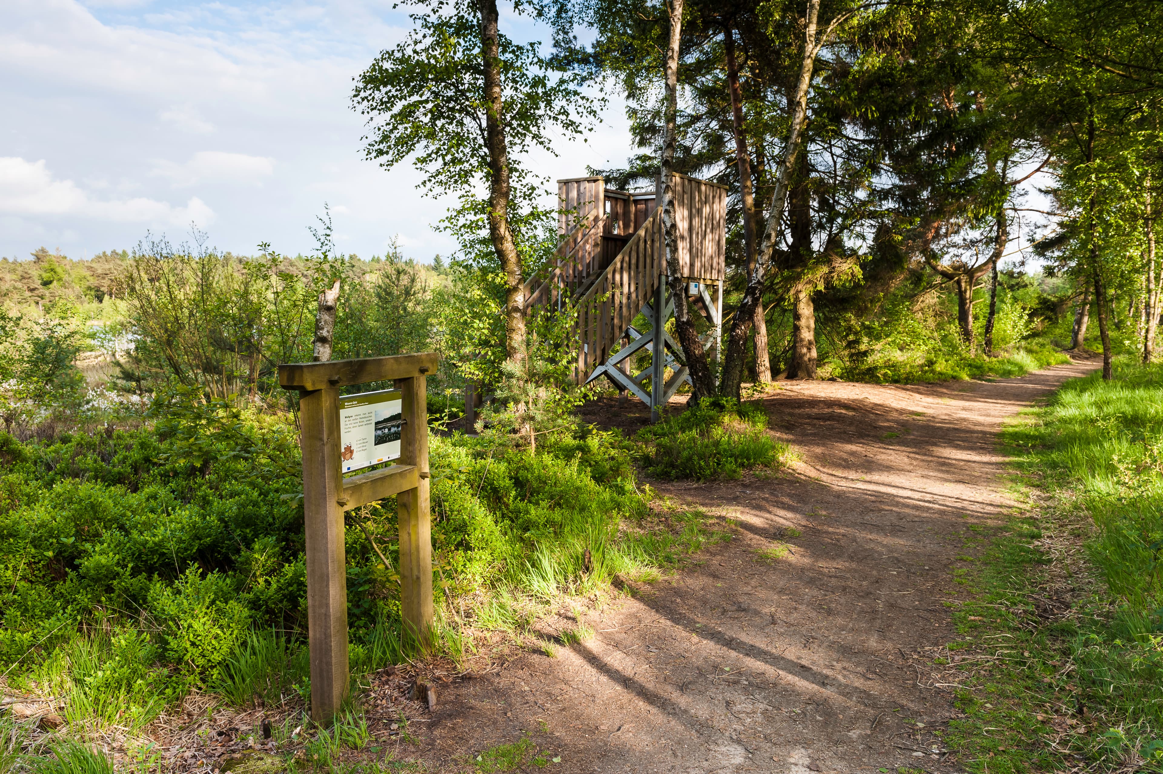 Aussichtsplattform mit Blick auf den Grundlosen See Walsrode