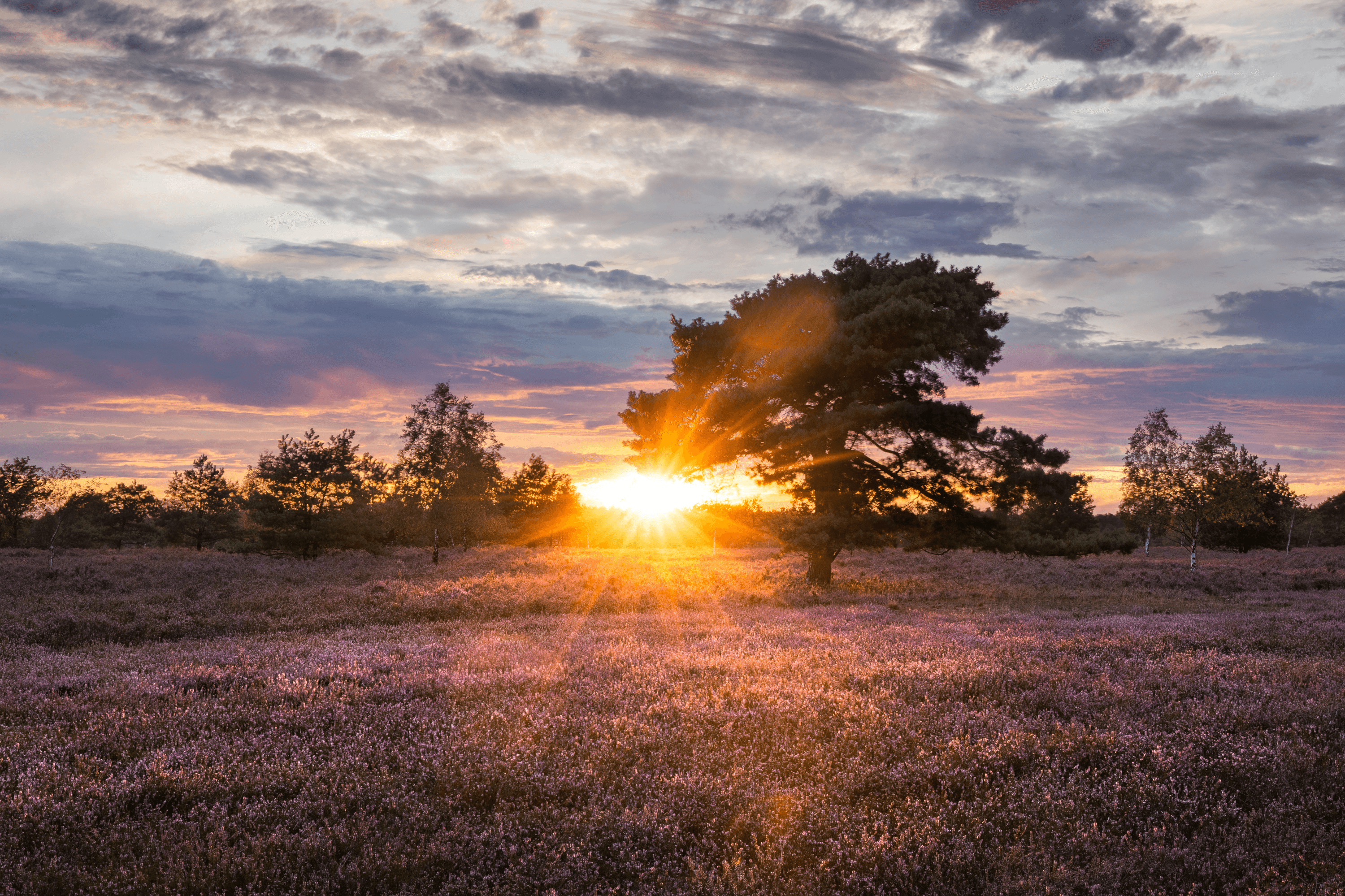 in der osterheide kann man tolle fotos vom sonnenuntergang machen