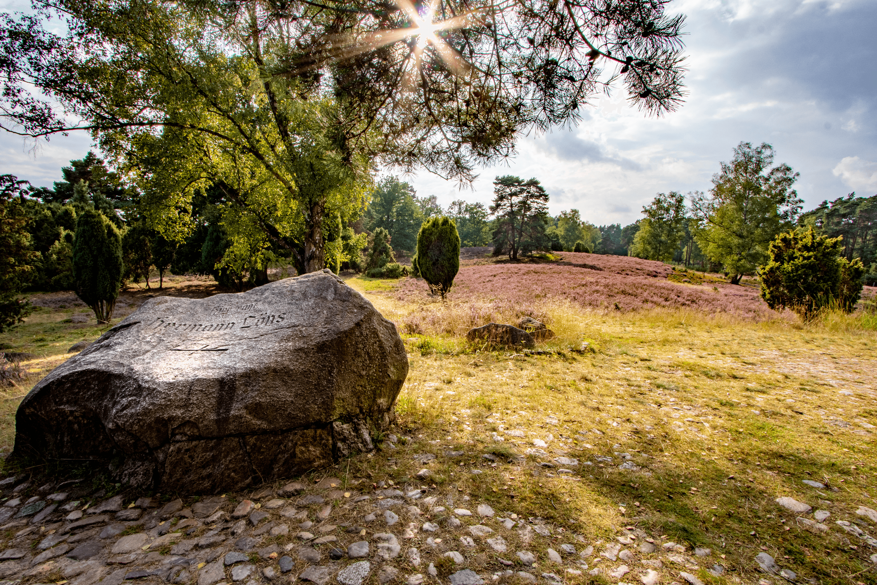 Mitte in der heide liegt der Grabstein von hermann löns
