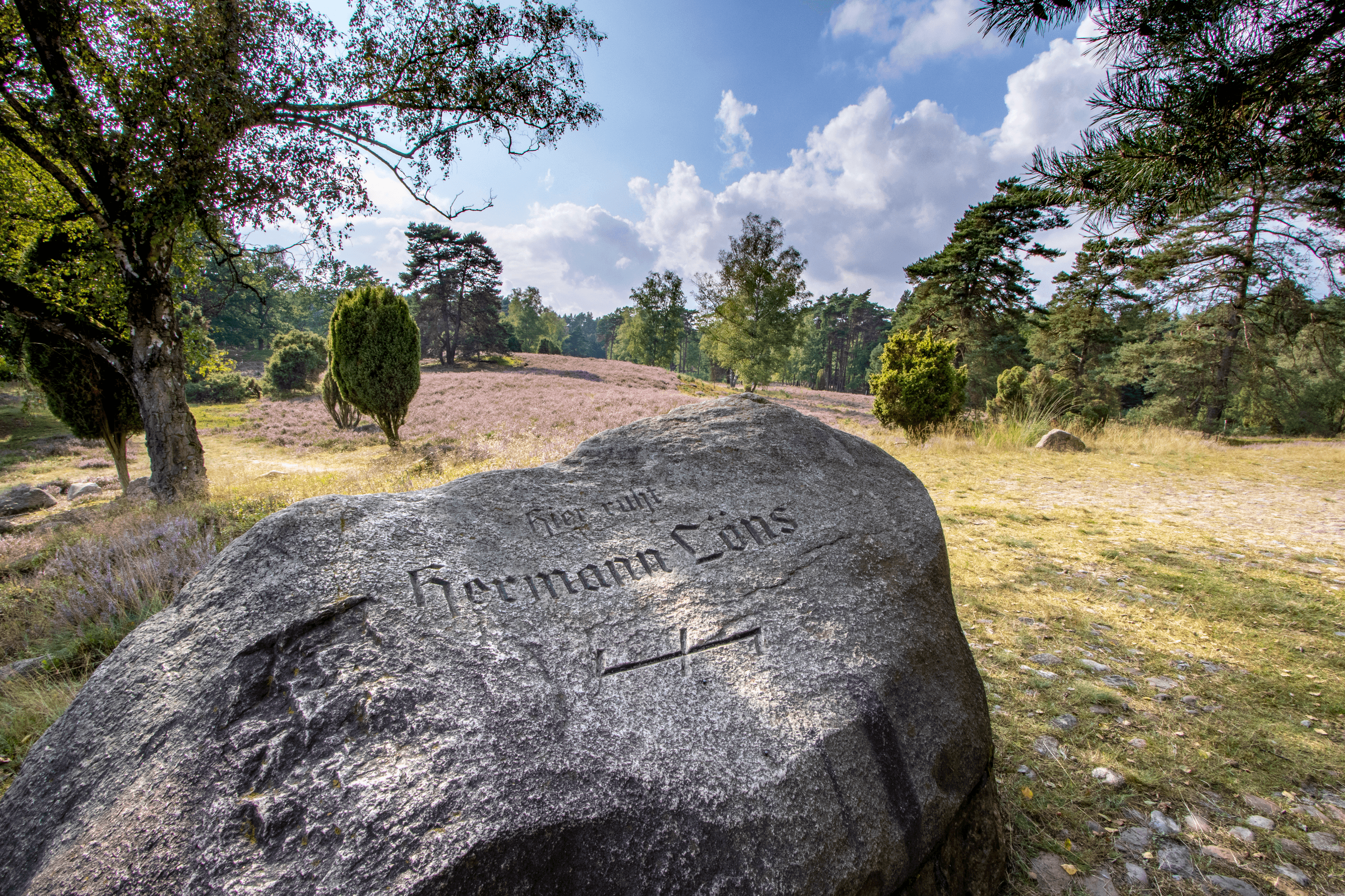 rund um das grab von hermann löns blüht die heide