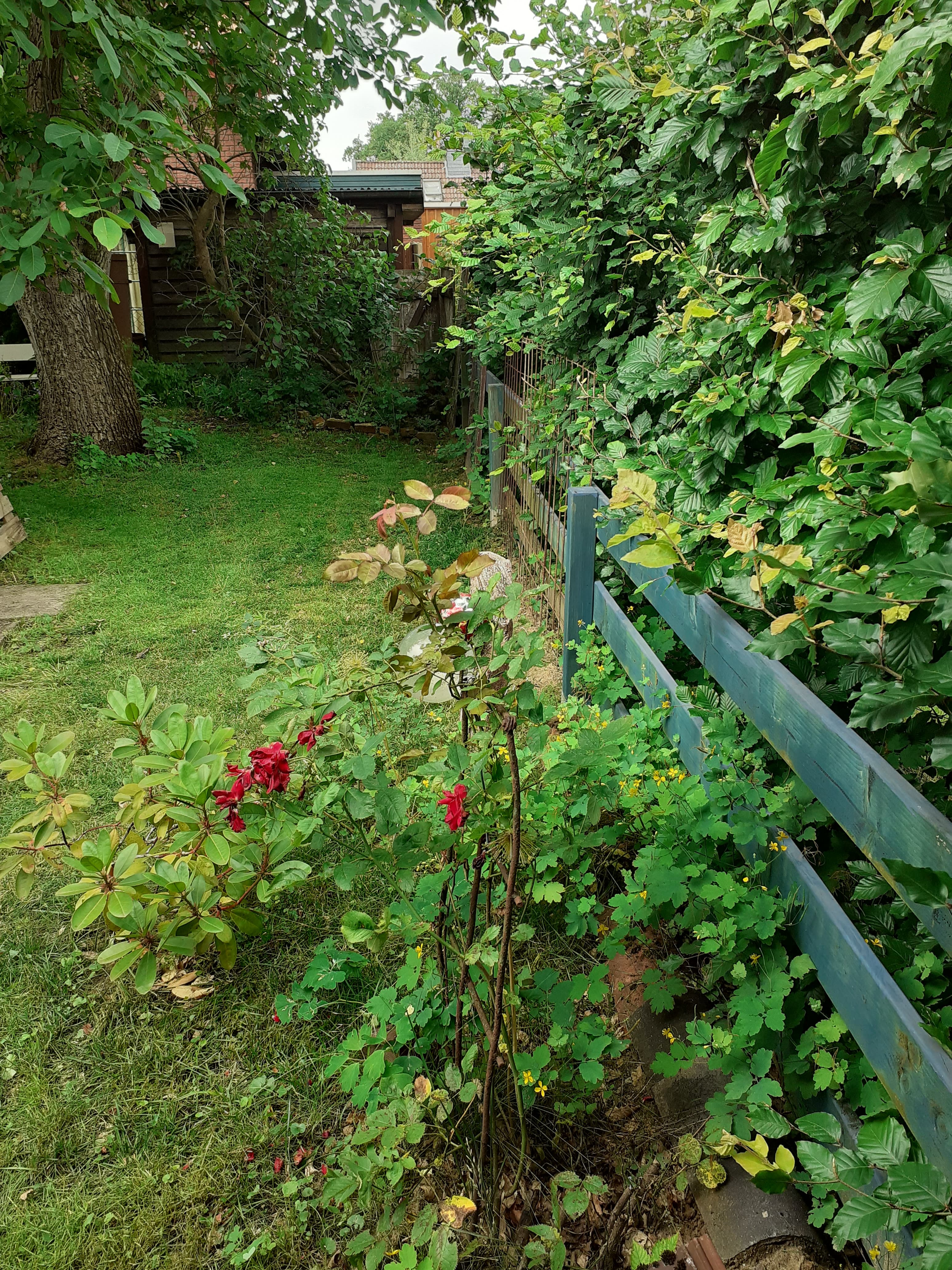 Garten hinter der Ferienwohnung Meta`s Hof Lachendorf